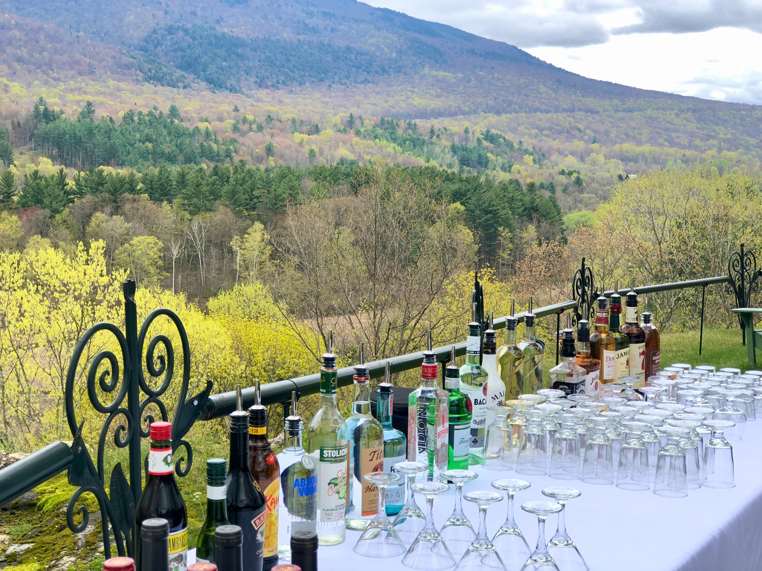 Spring Bar with a view Hilltop overlook.jpeg