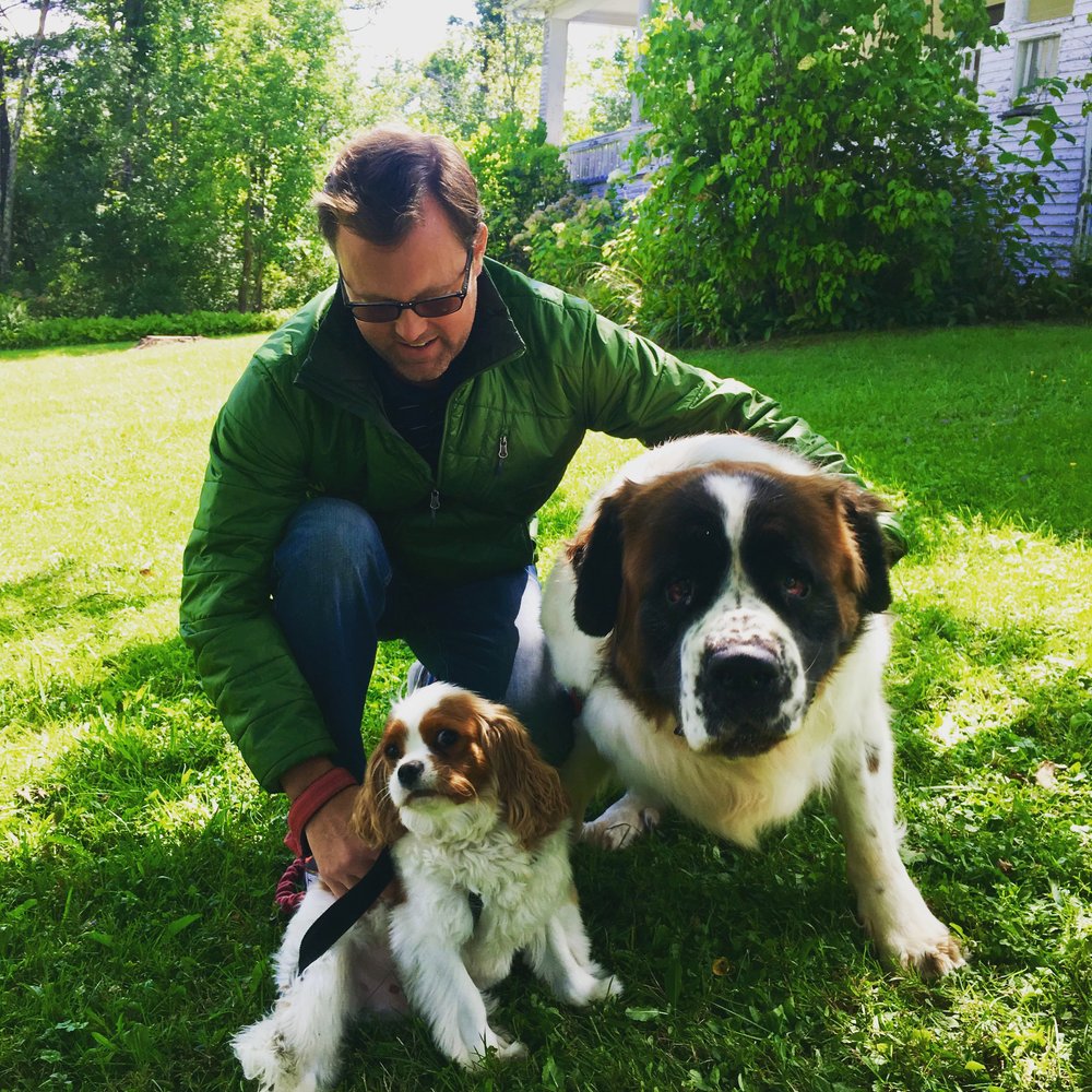 a person kneeling down next to two dogs on grass