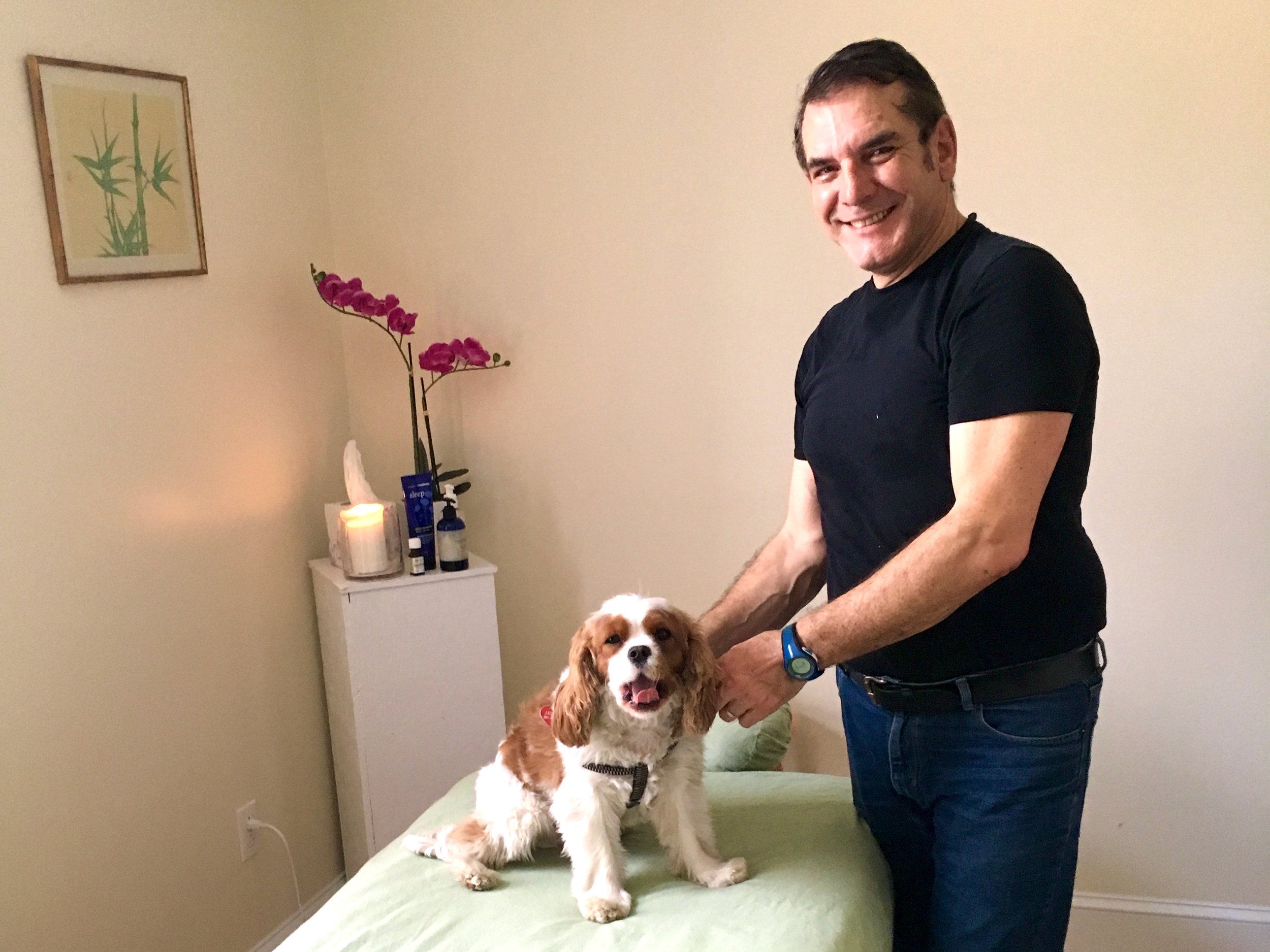 jetson is so relaxed from his massagew carlos horiz.jpeg