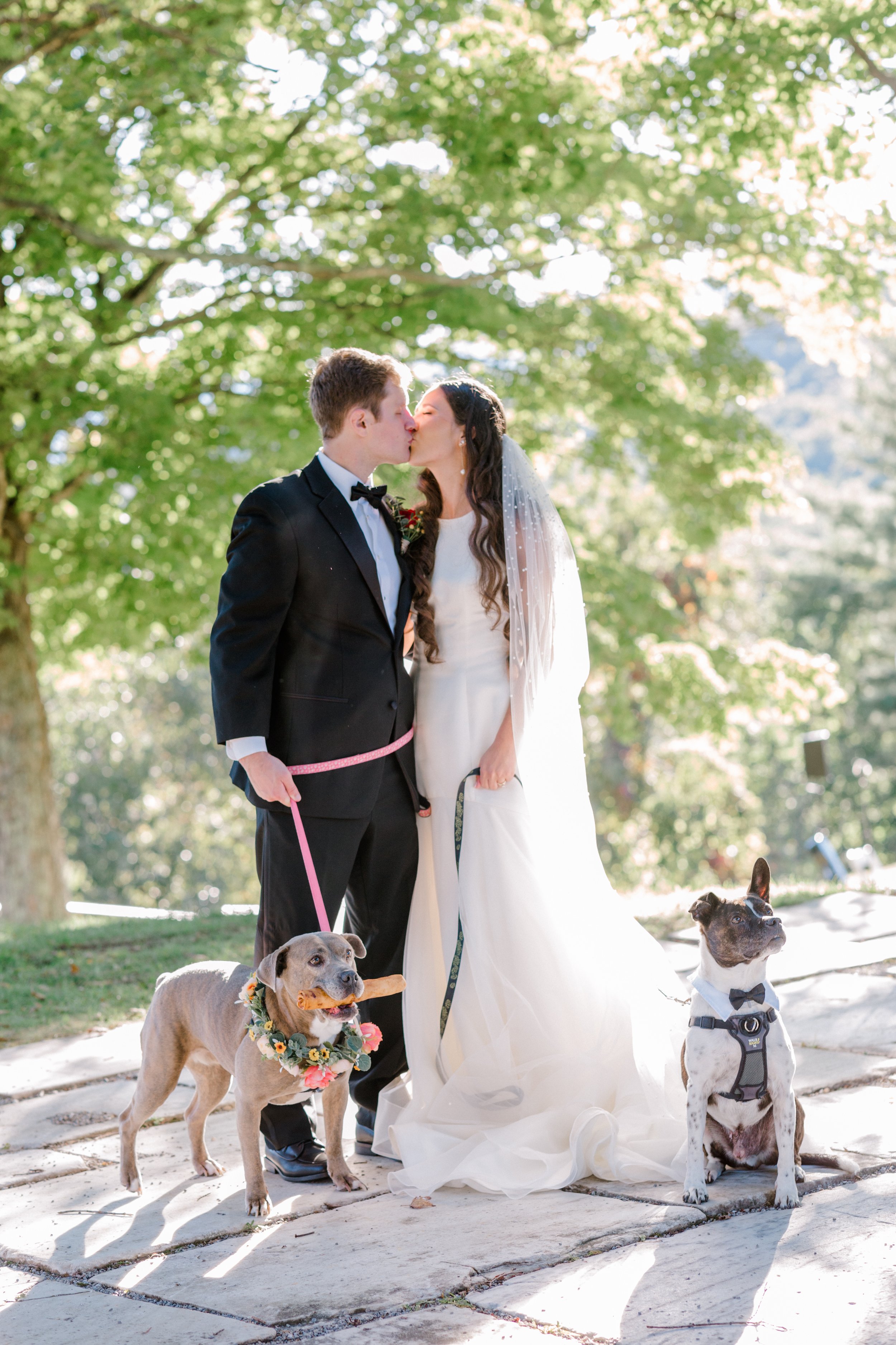 Photo by Anne Mietka. (Shelby & Cameron with their dogs).jpg