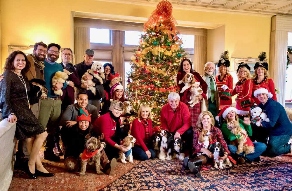 1_Holiday_Joy_Canine_Christmas_Slumber_Party_Wilburton_Jane_Klonsky.jpeg