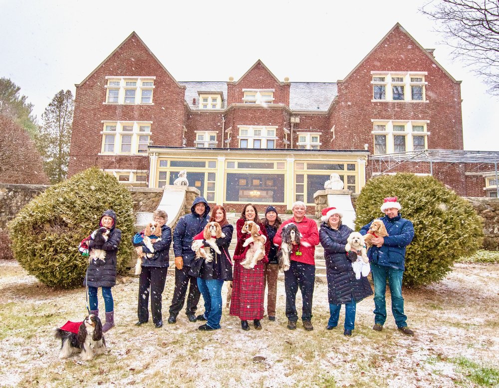 Canine_Christmas_Doggie_Slumber_Party_The_Wilburton_Ext_Snow_Jane_Klonsky.jpeg