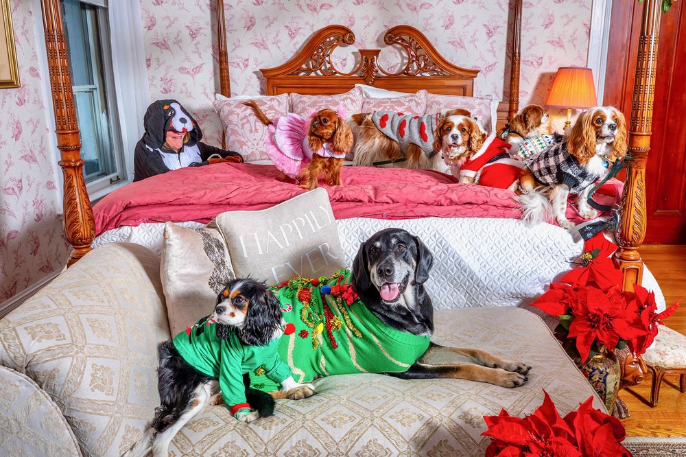 Group doggie slumber party bridal suite.jpeg