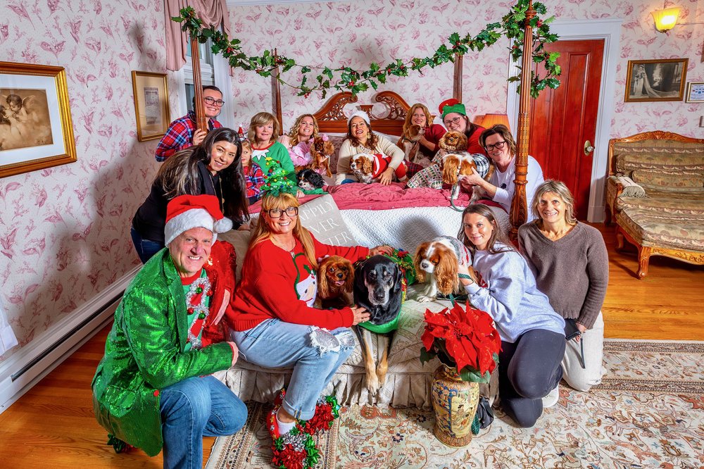 Guests and dogs in bridal suite.jpeg