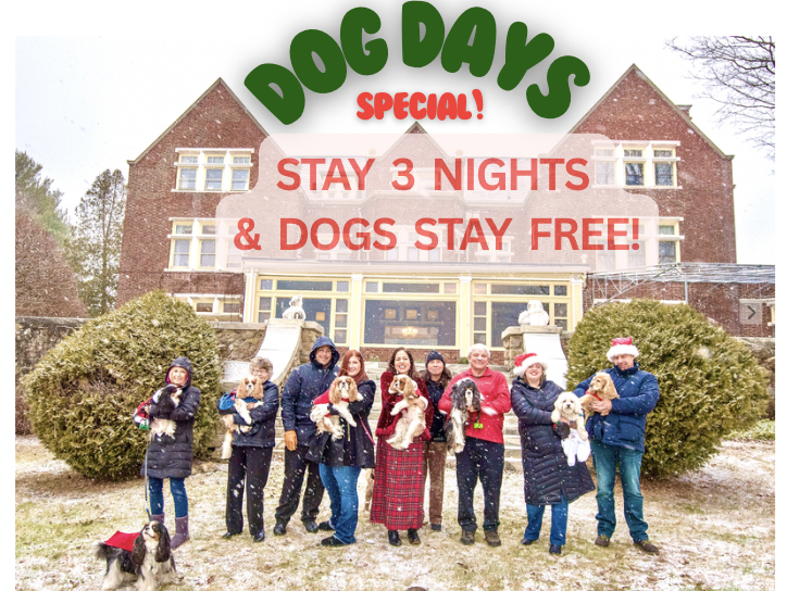 Dog Days Special: Stay 3 nights &amp; dogs stay free!