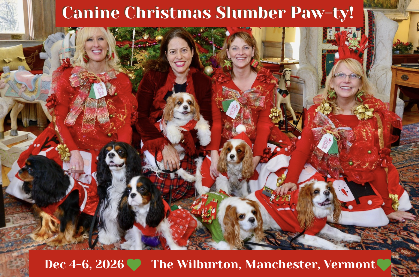 Canine Christmas Slumber Paw-ty &amp; Holiday Inn Tours Dec 4 - 6, 2026