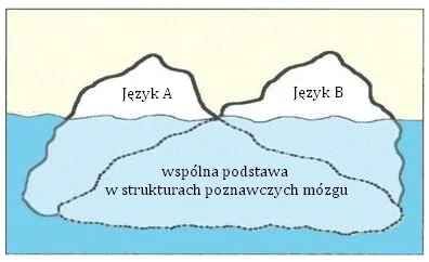 Języki, którymi włada wielojęzyczne dziecko, są od siebie często bardzo różne w zakresie wymowy, gramatyki i słownictwa. Mają one jednak wspólną podstawę w strukturach poznawczych mózgu – są jak wierzchołki jednej góry lodowej.