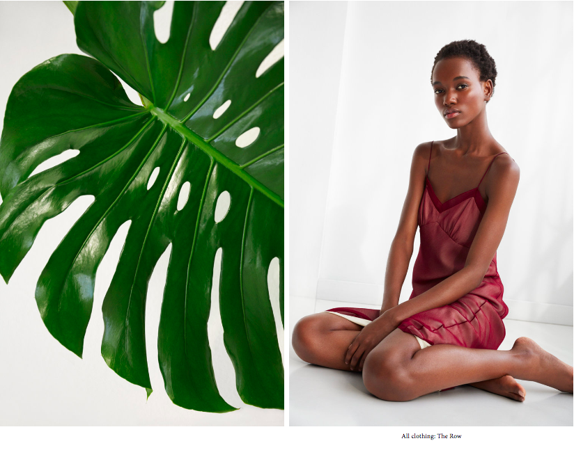 Screen Shot 2017-03-03 at 12.26.32 PM.png