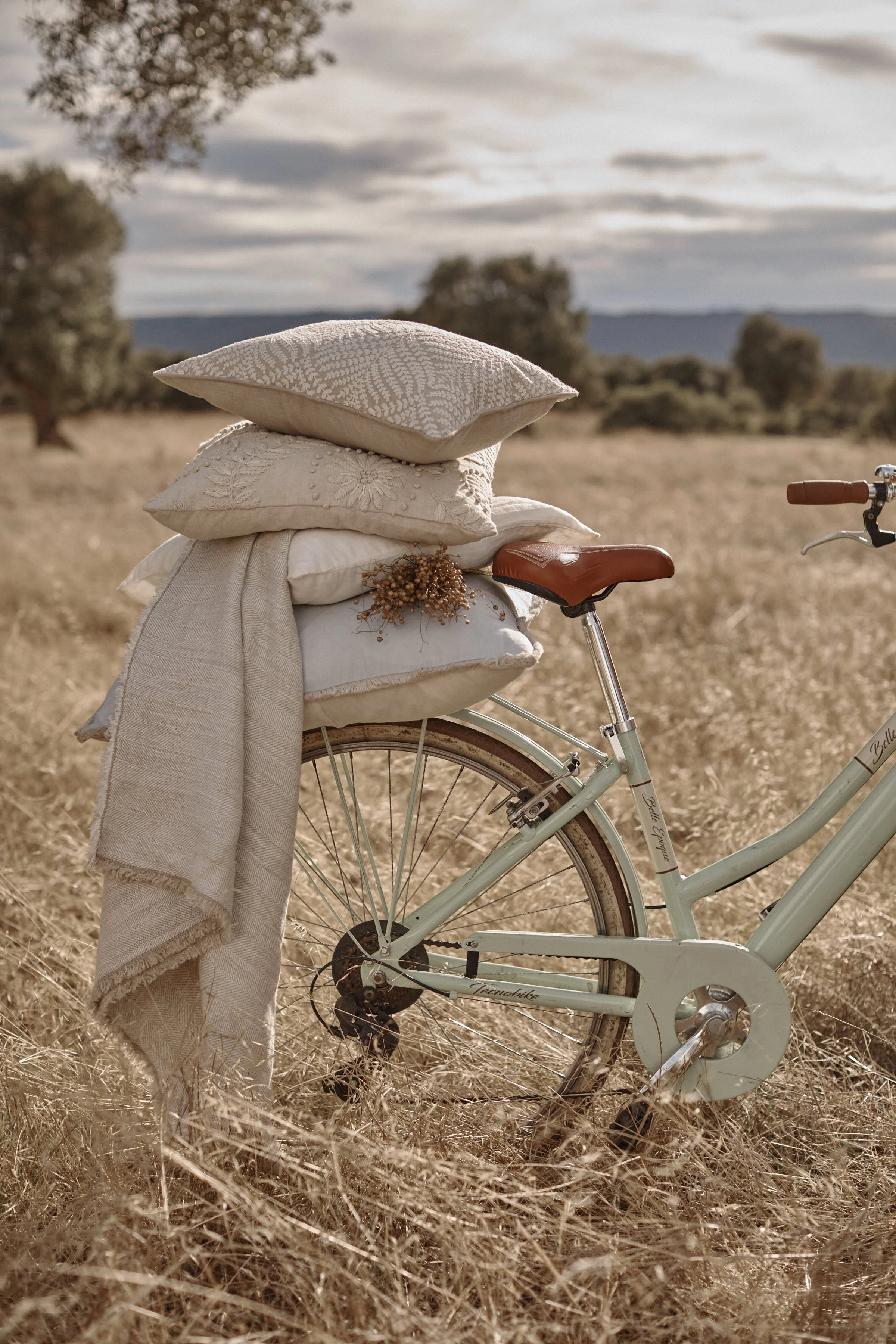 R000_Pillow_Bike_Still_Life_JAN25x_0048.jpg
