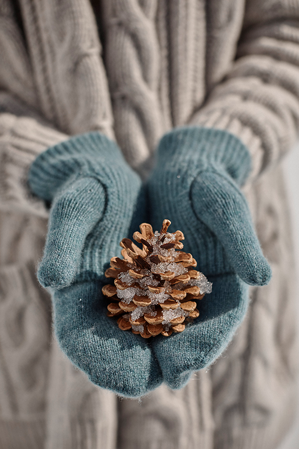 R000_Pine_Cone_Cover_WH24x_0032.png