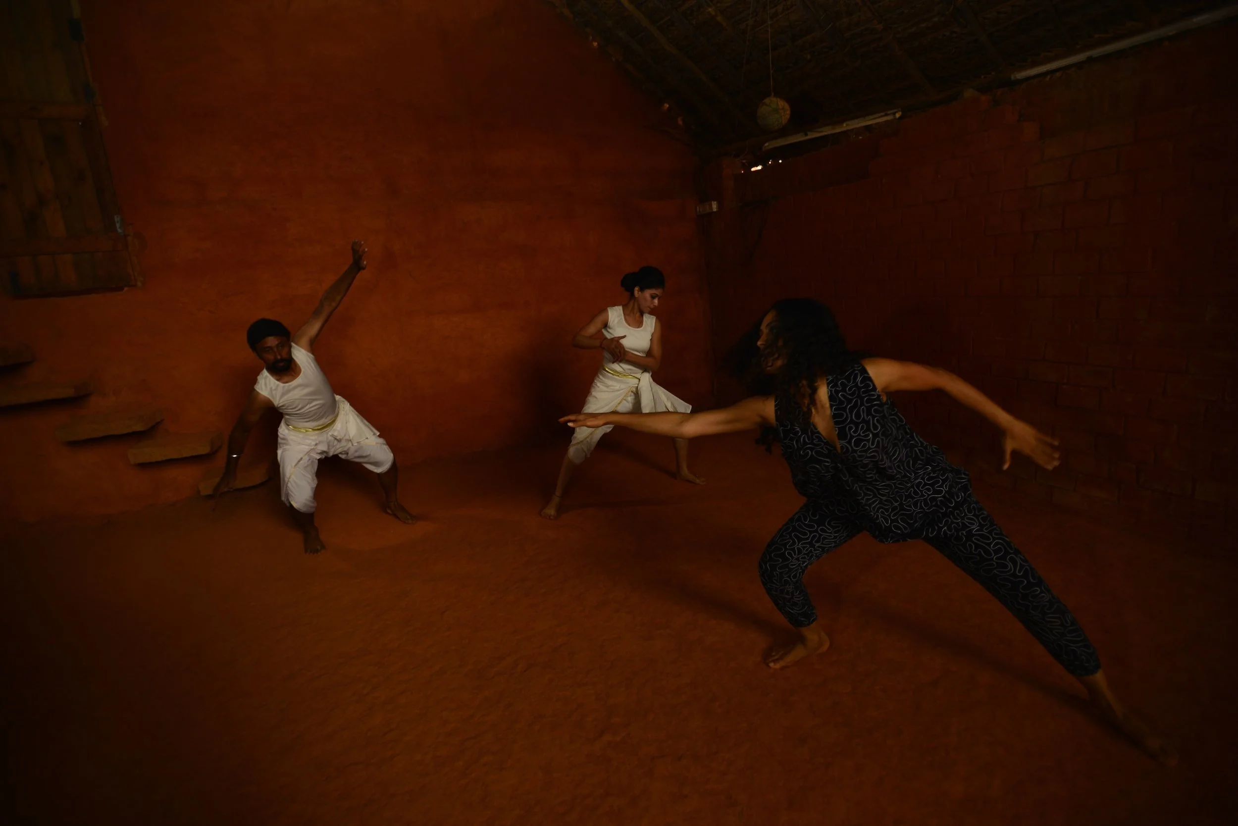 Kalari-Rashmi Varma Campaign, 2015