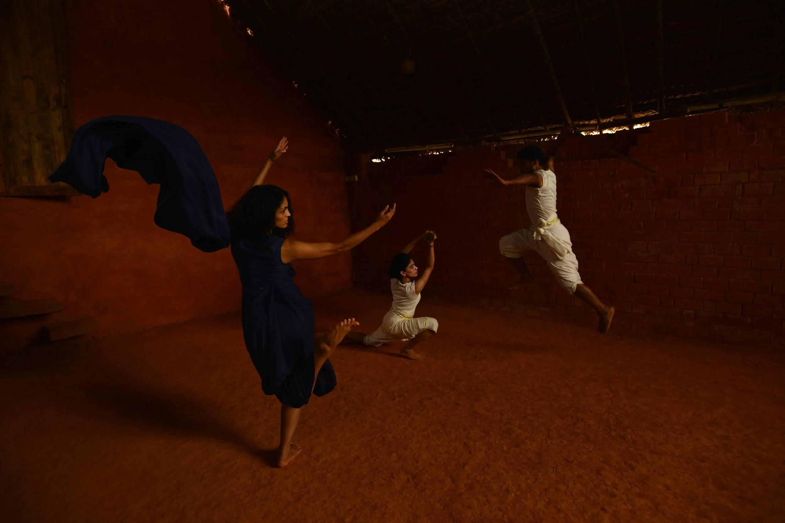 Kalari-Rashmi Varma Campaign, 2015