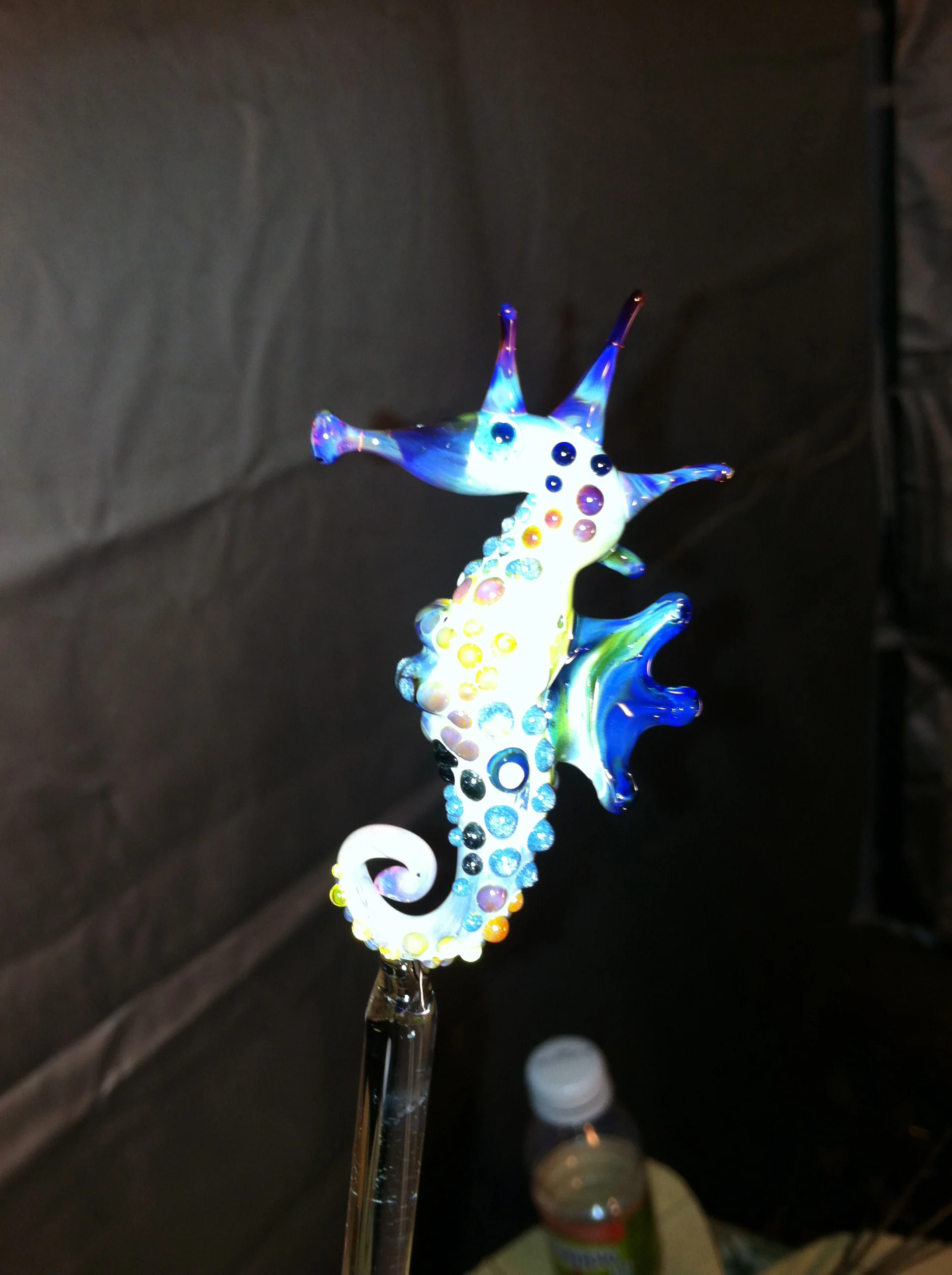 Seahorse