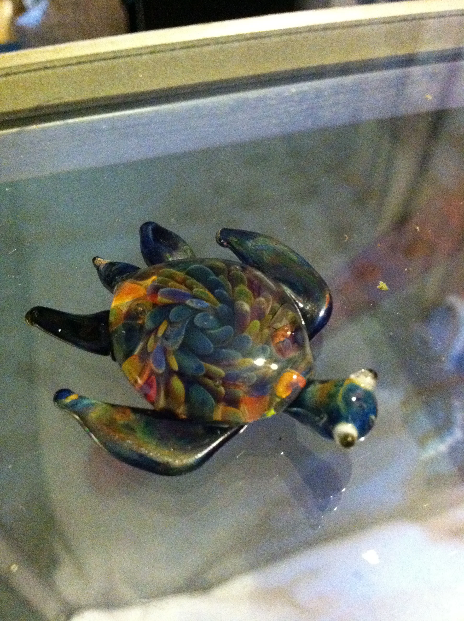 Implosion Sea Turtle