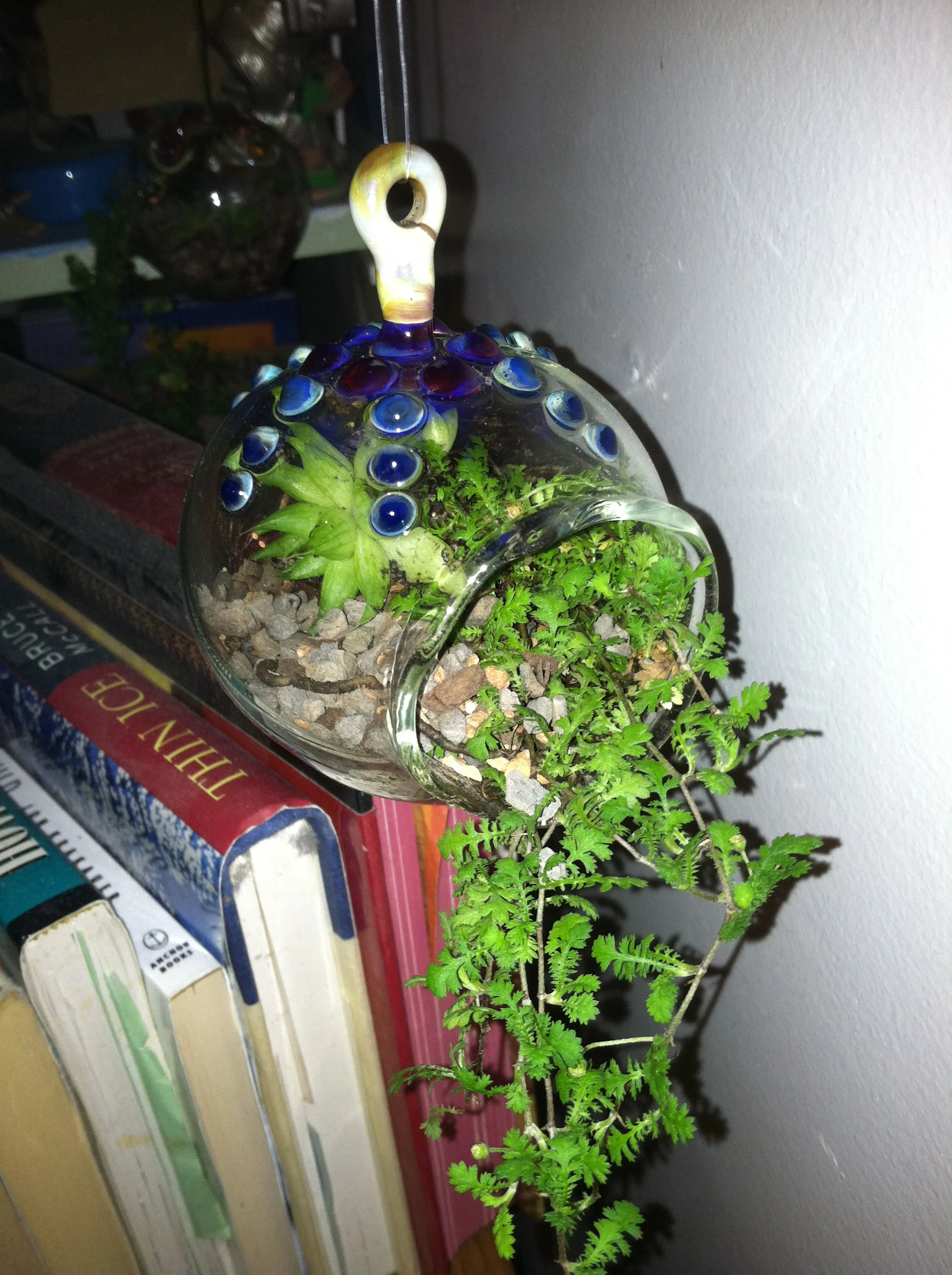Hanging Terrarium
