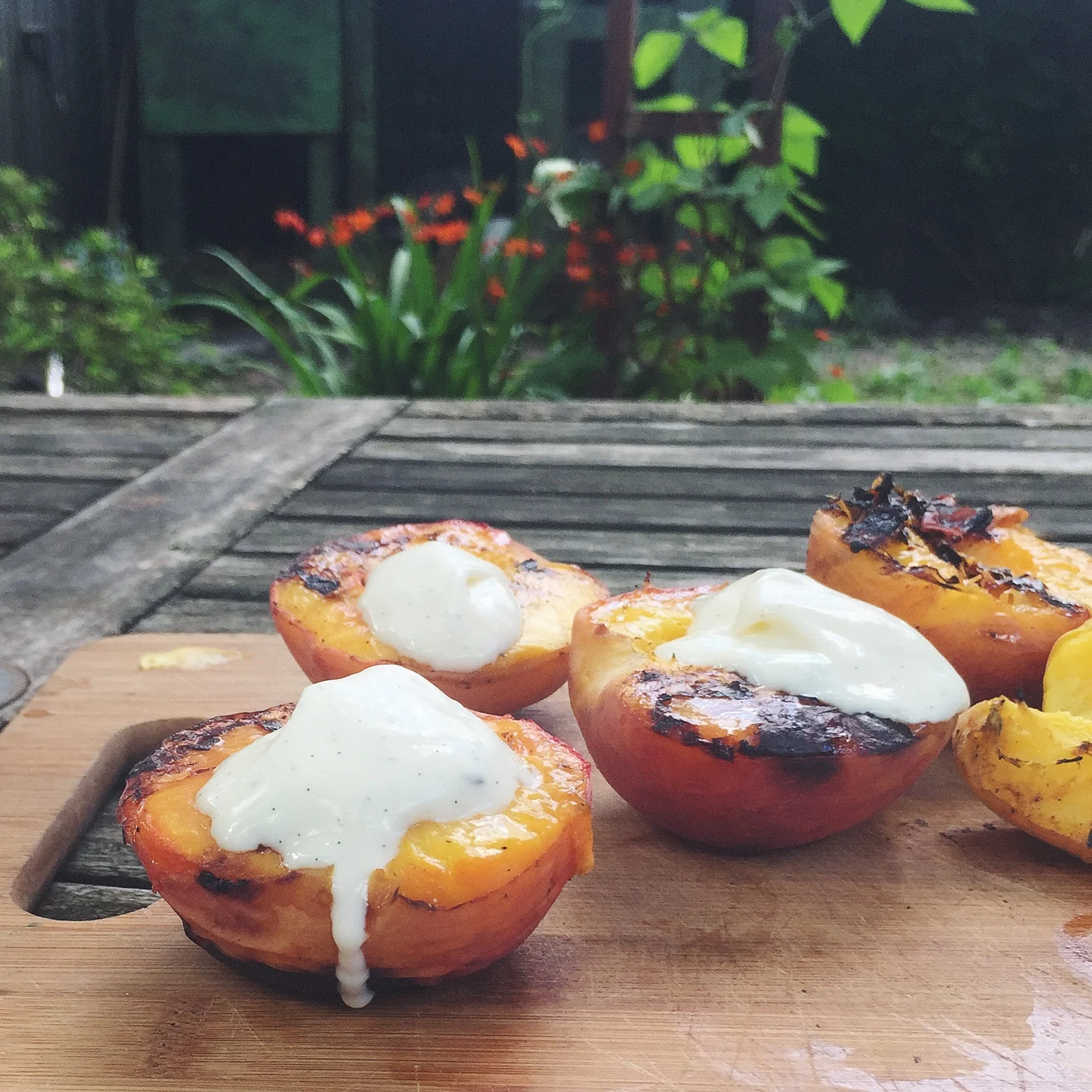 grilled_peaches_with_mascarpone.jpg