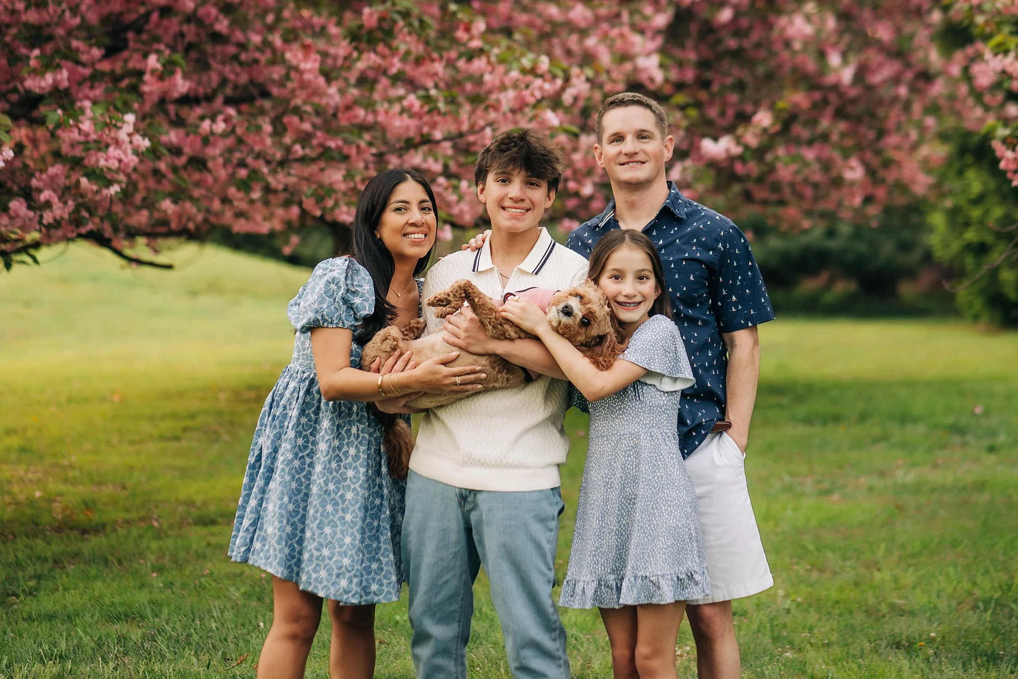 cherry blossoms0251 copy.jpg