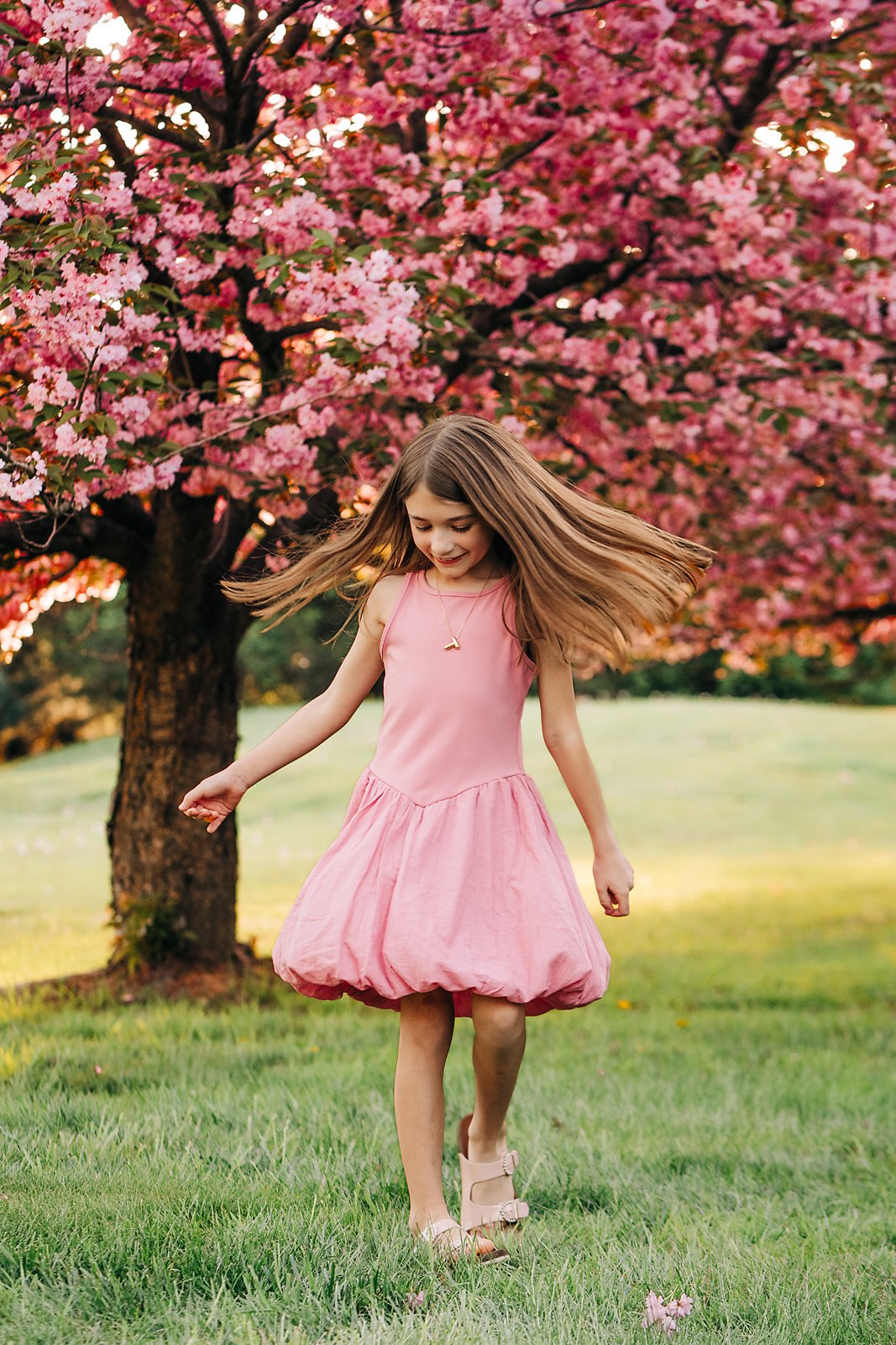 cherryblossoms0581 copy.jpg