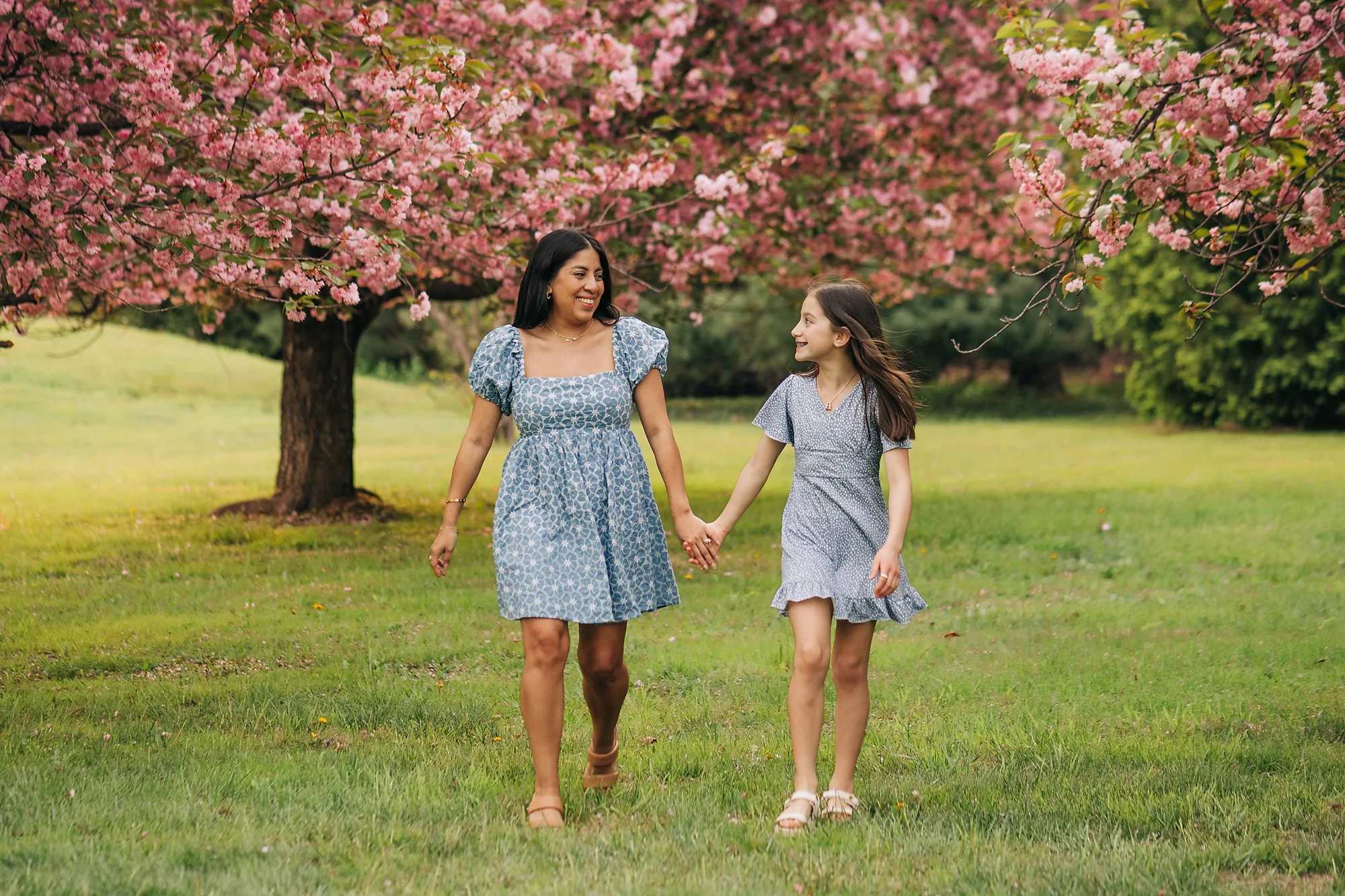 cherry blossoms0147 copy.jpg