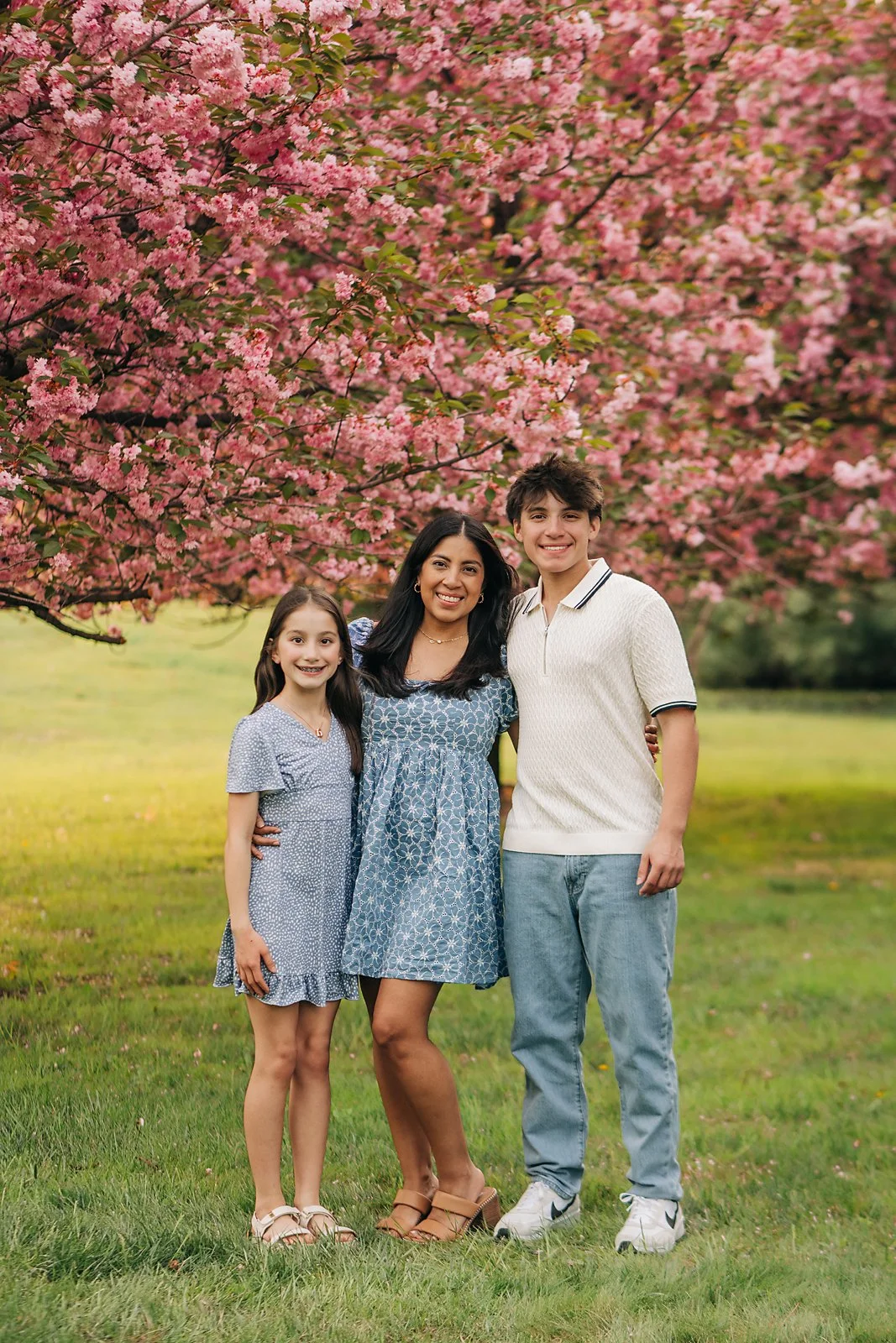 cherry blossoms0109 copy.jpg