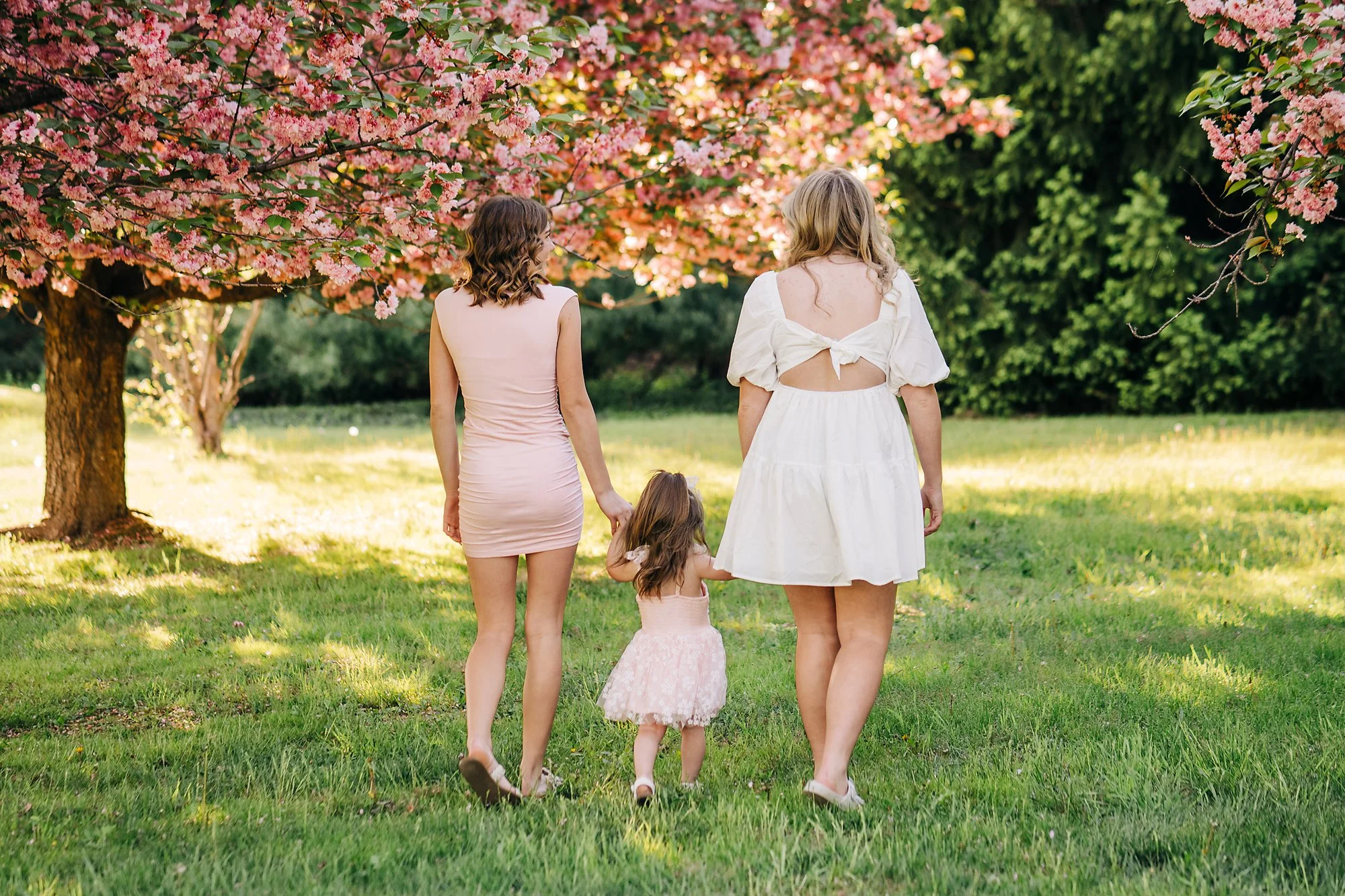 cherry blossoms0270 copy.jpg