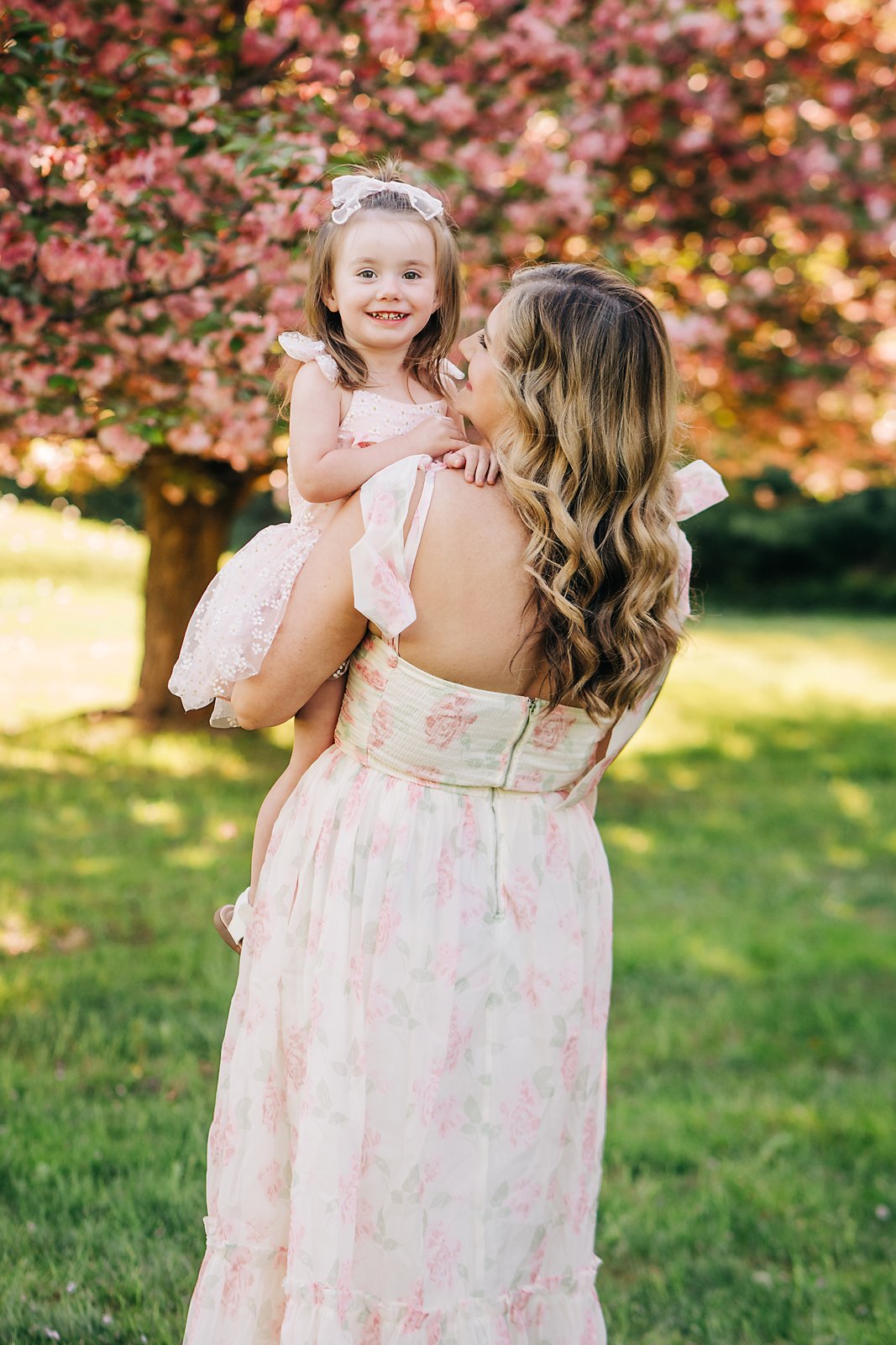 cherry blossoms0121 copy.jpg