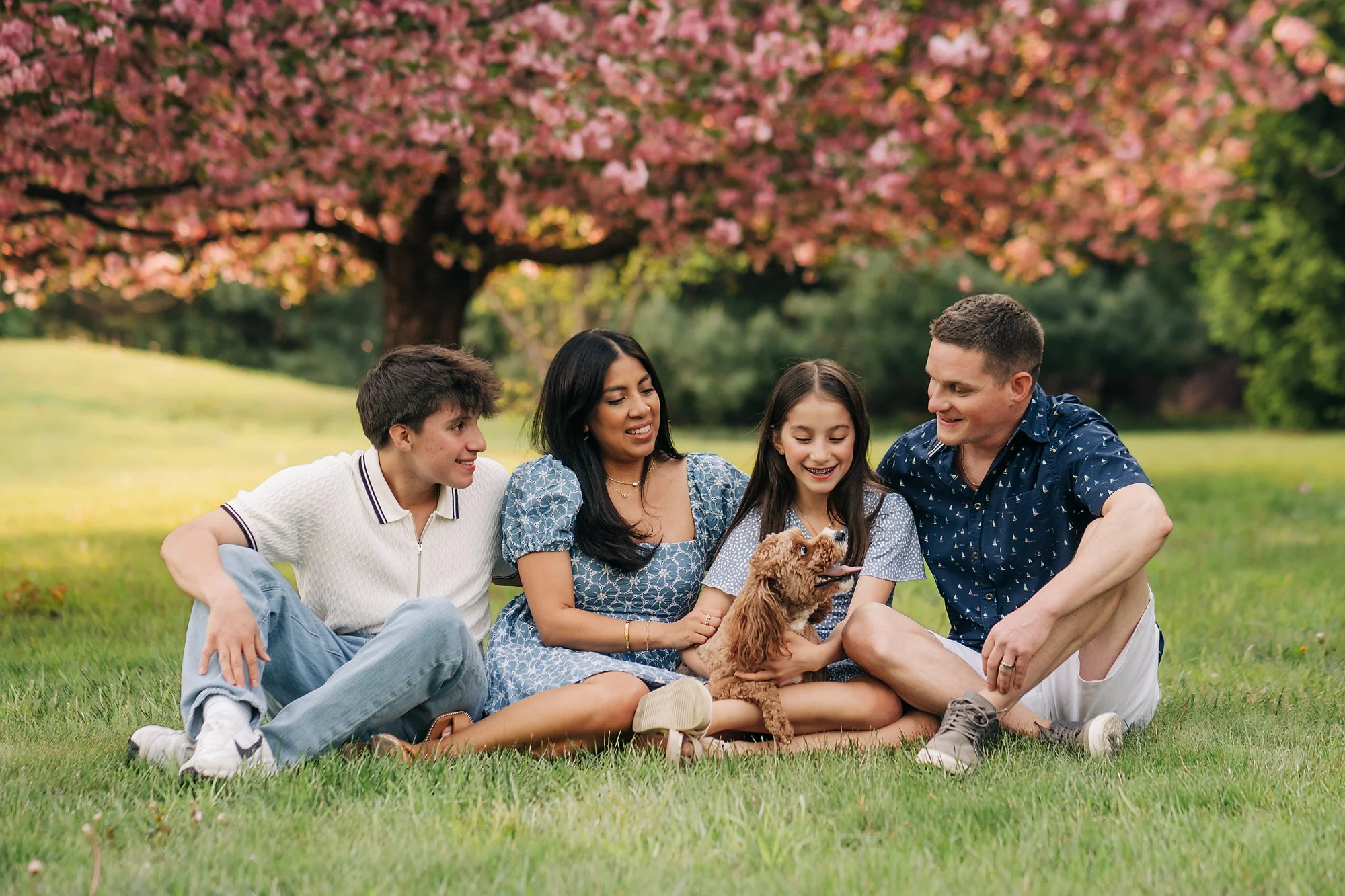 cherry blossoms0012 copy.jpg