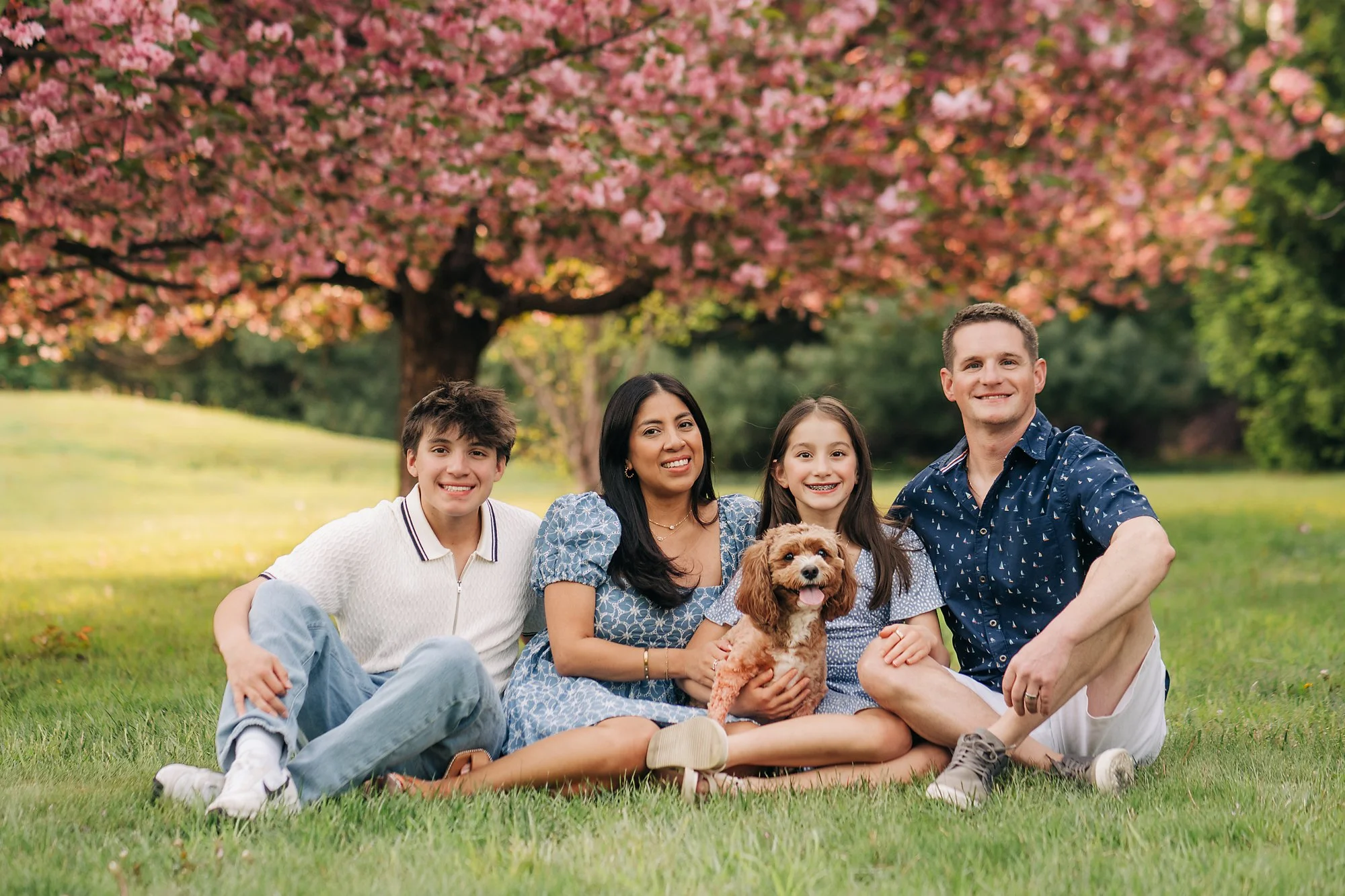 cherry blossoms0005 copy.jpg