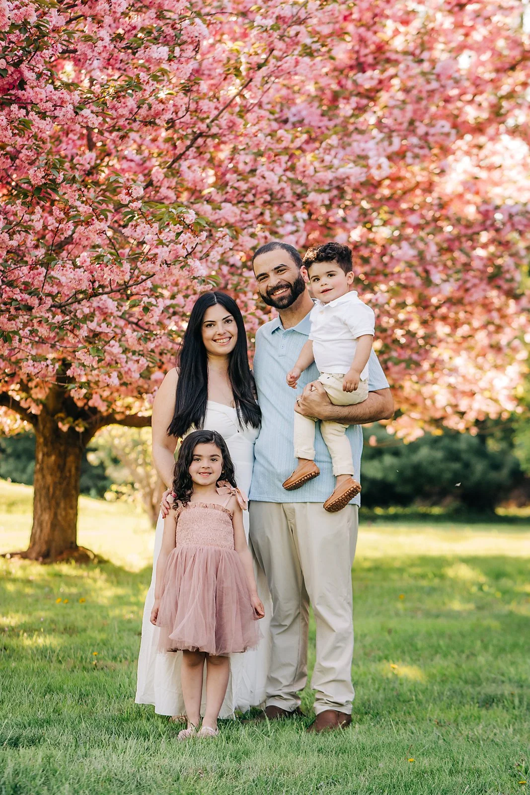 cherryblossoms0005 copy.jpg