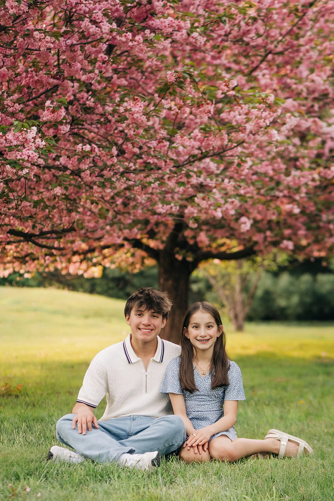 cherry blossoms0029 copy.jpg