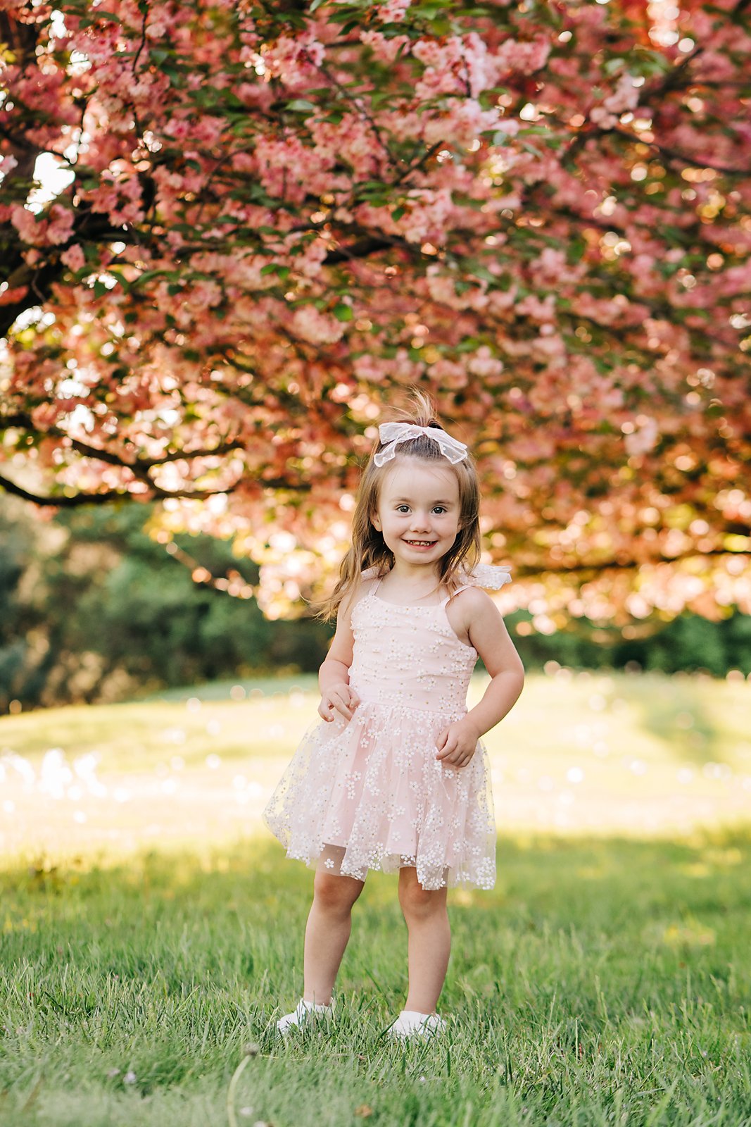 cherry blossoms0138 copy.jpg