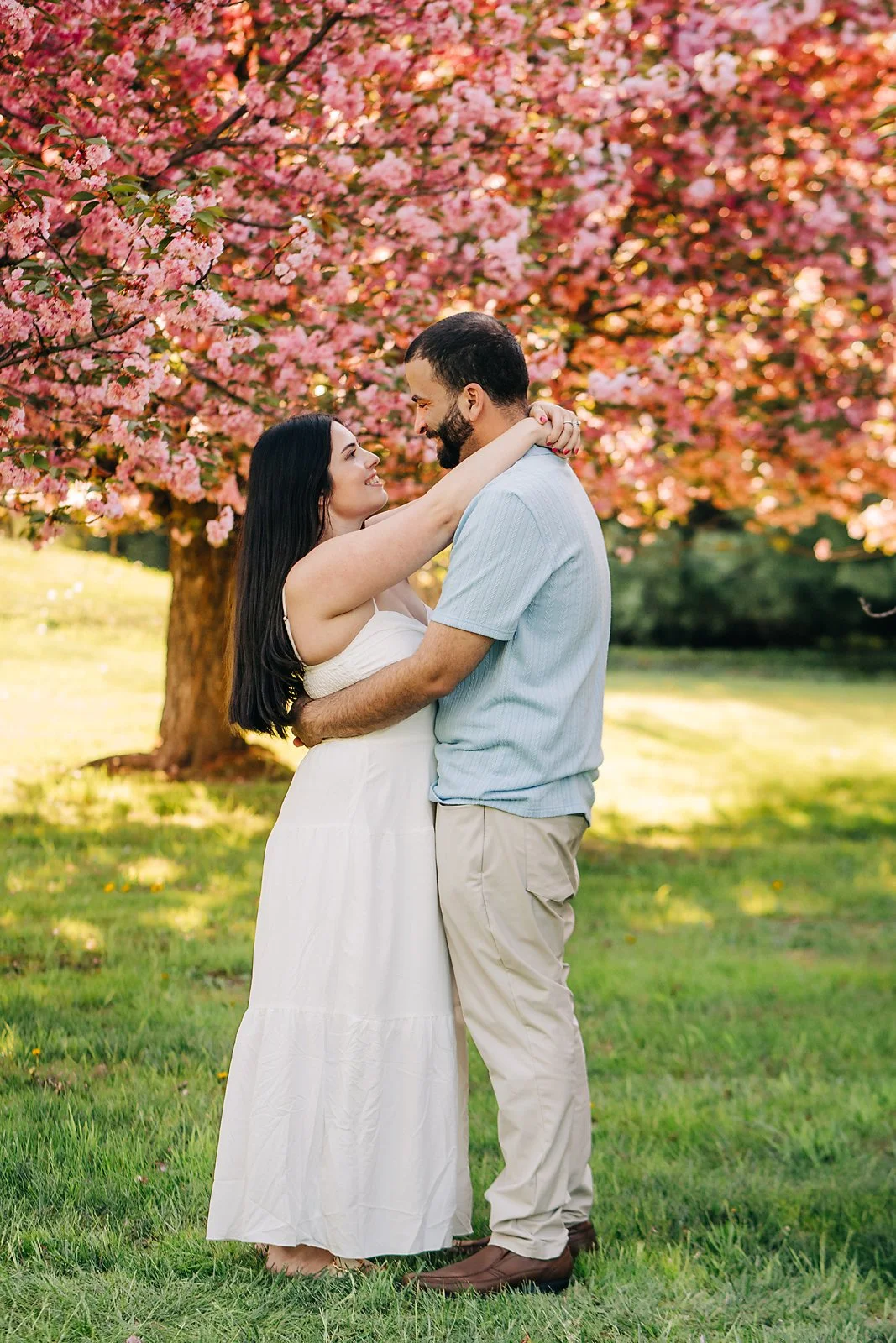 cherryblossoms0236 copy.jpg
