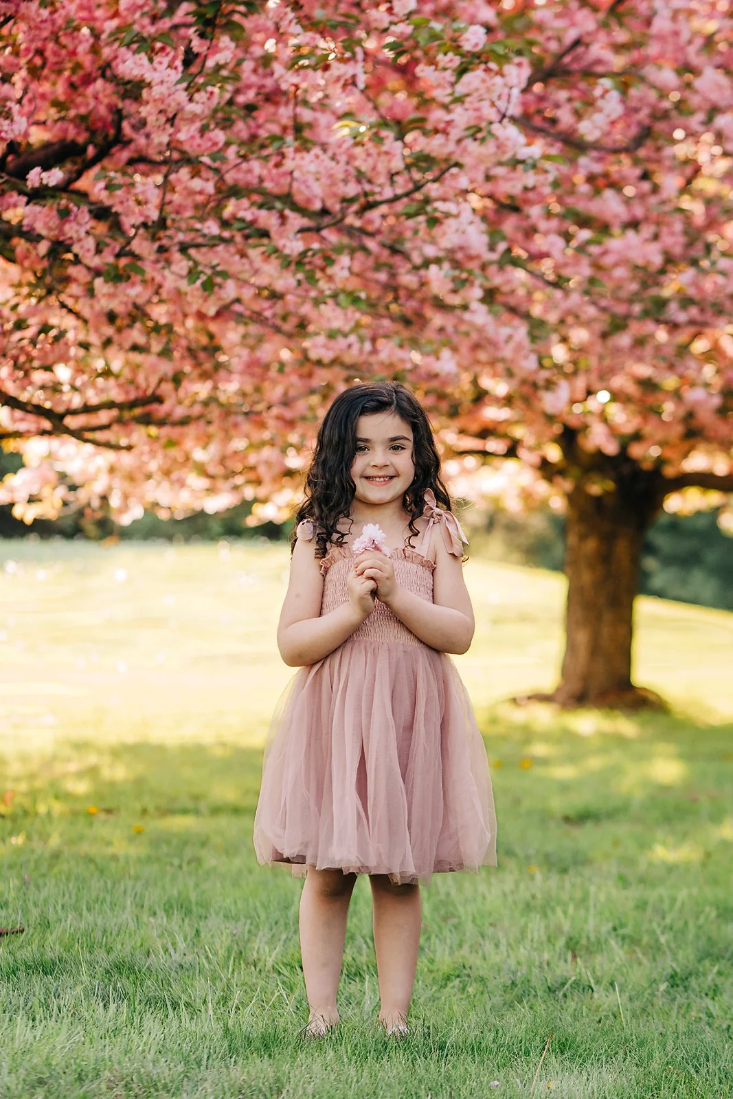 cherryblossoms0090 copy.jpg