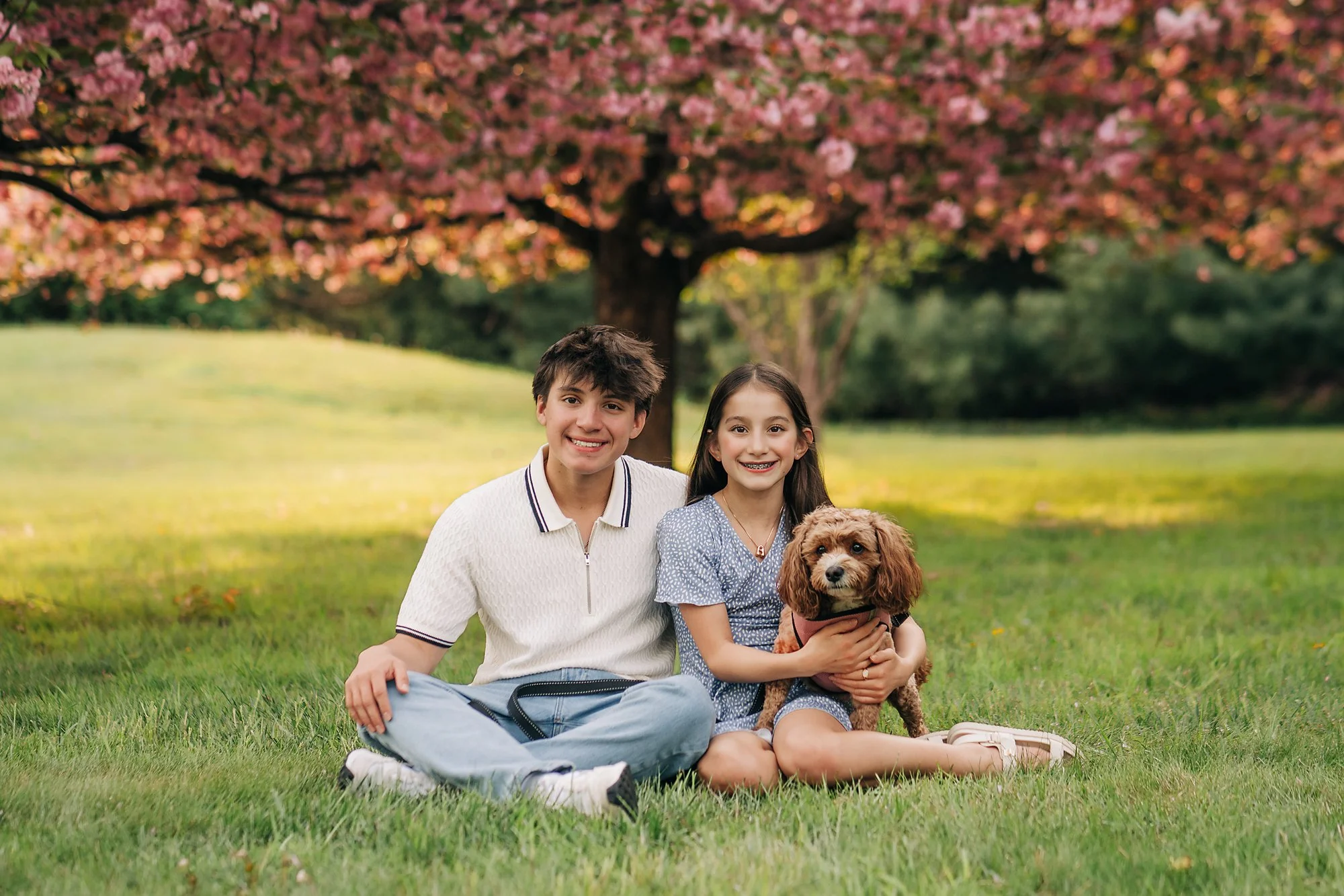 cherry blossoms0032 copy.jpg