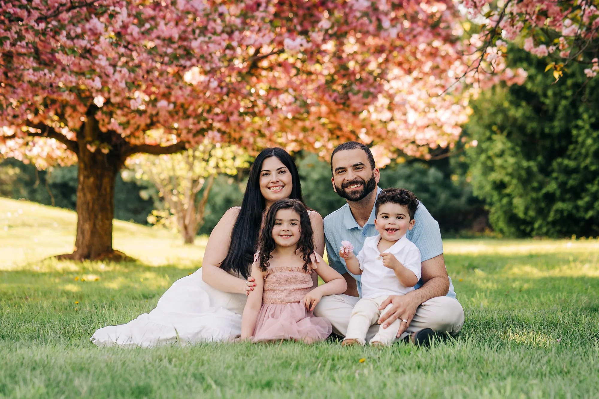 cherryblossoms0217 copy.jpg