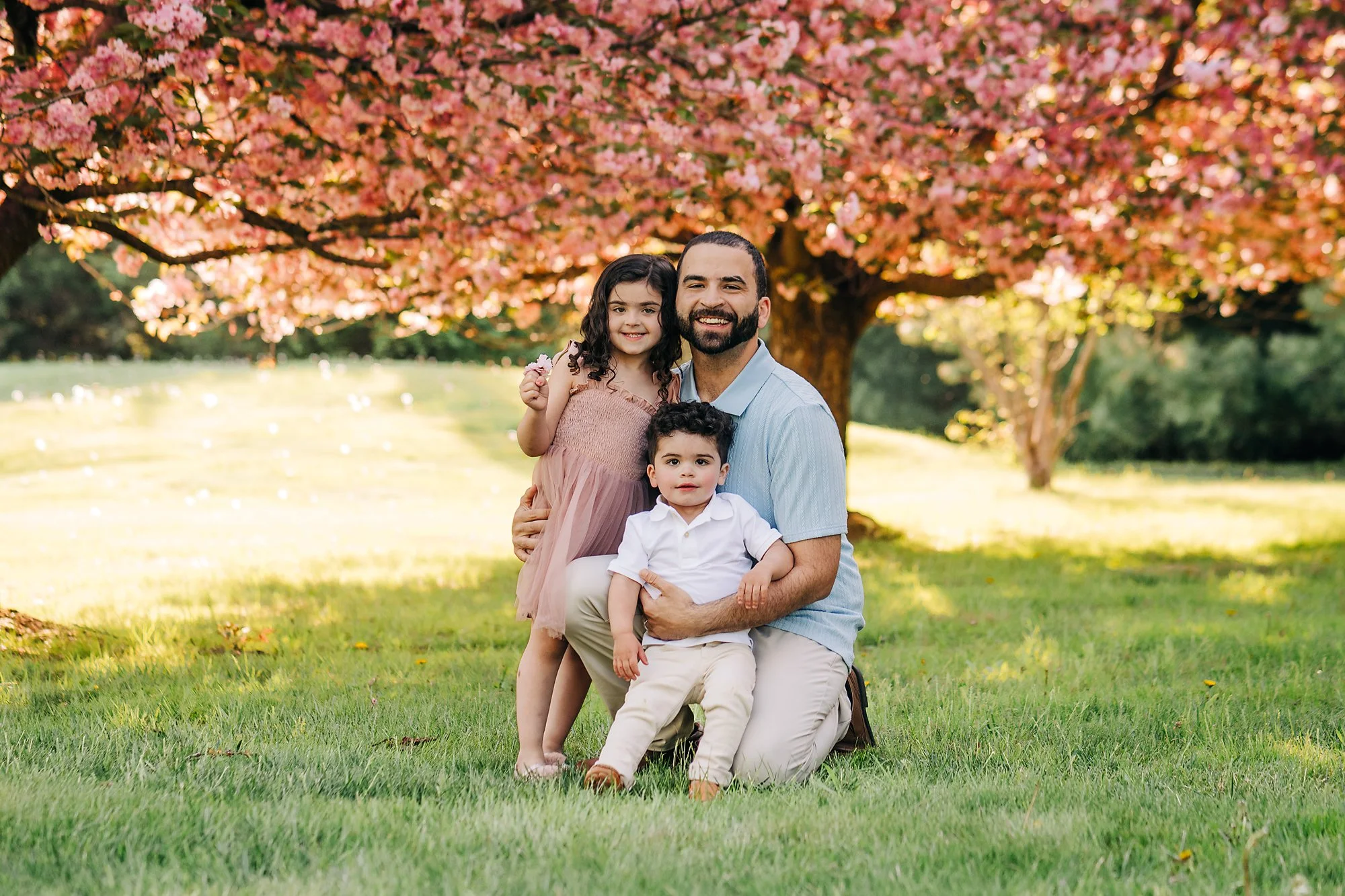 cherryblossoms0142 copy.jpg