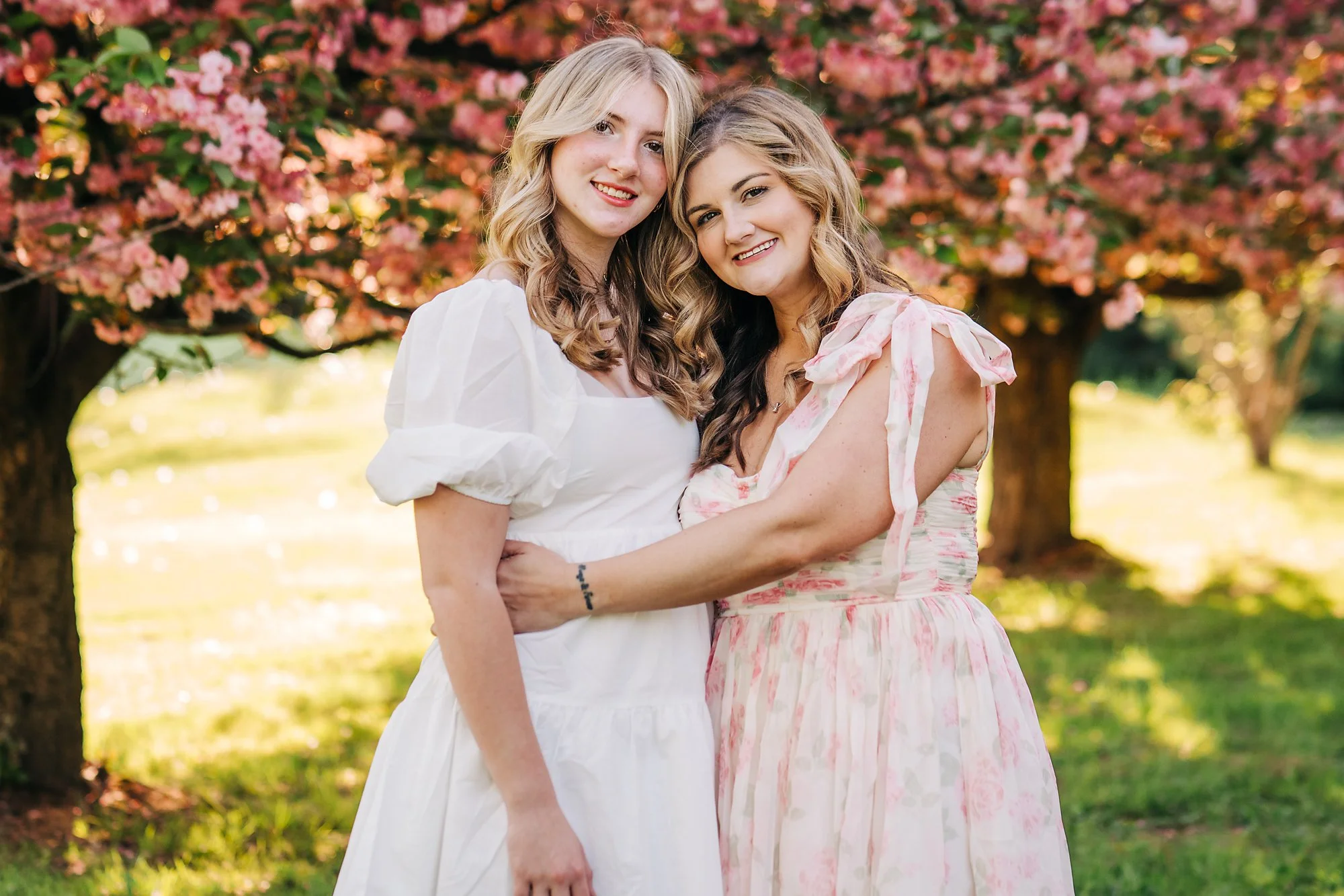 cherry blossoms0212 copy.jpg