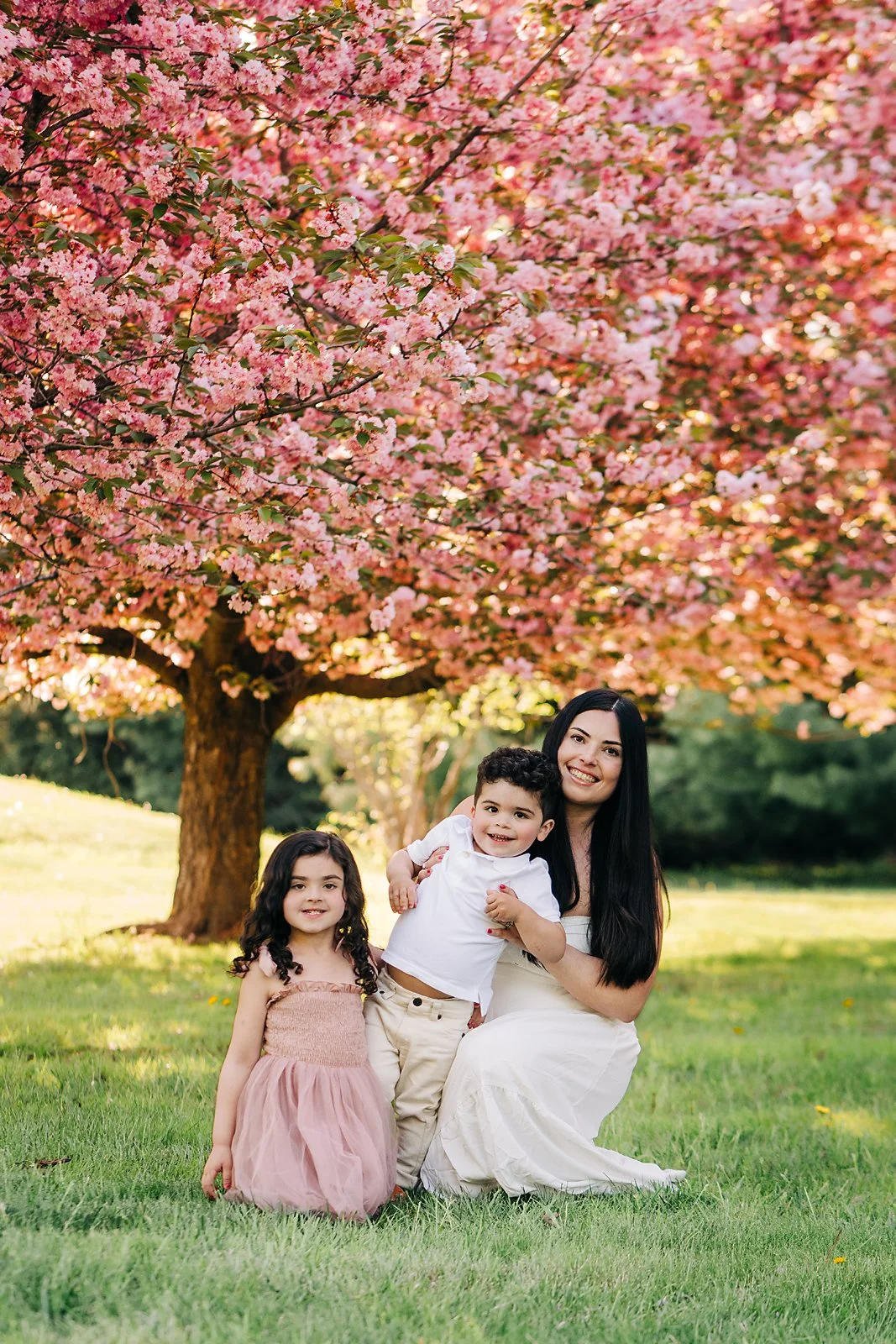 cherryblossoms0044 copy.jpg