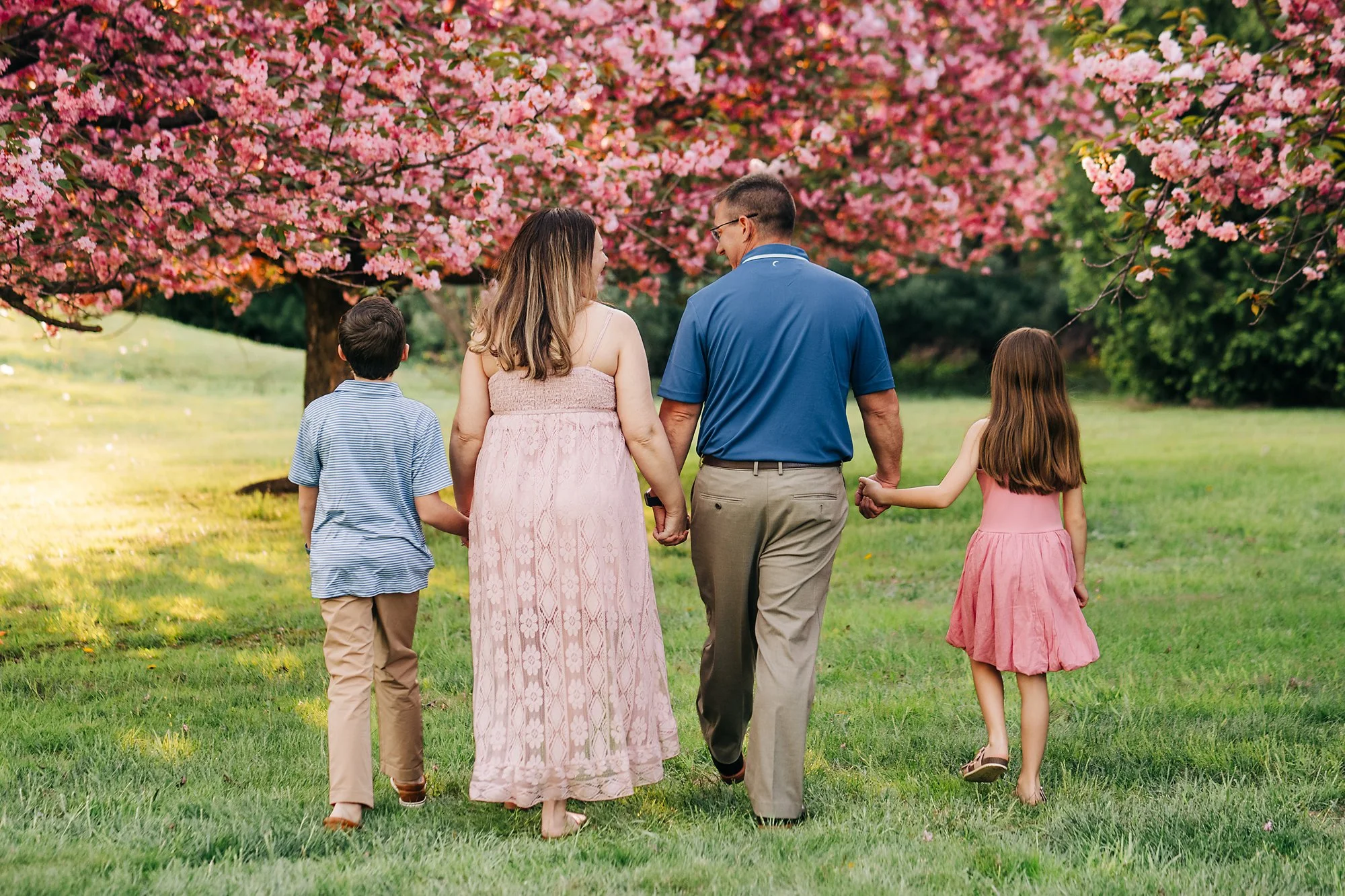 cherryblossoms0520 copy.jpg