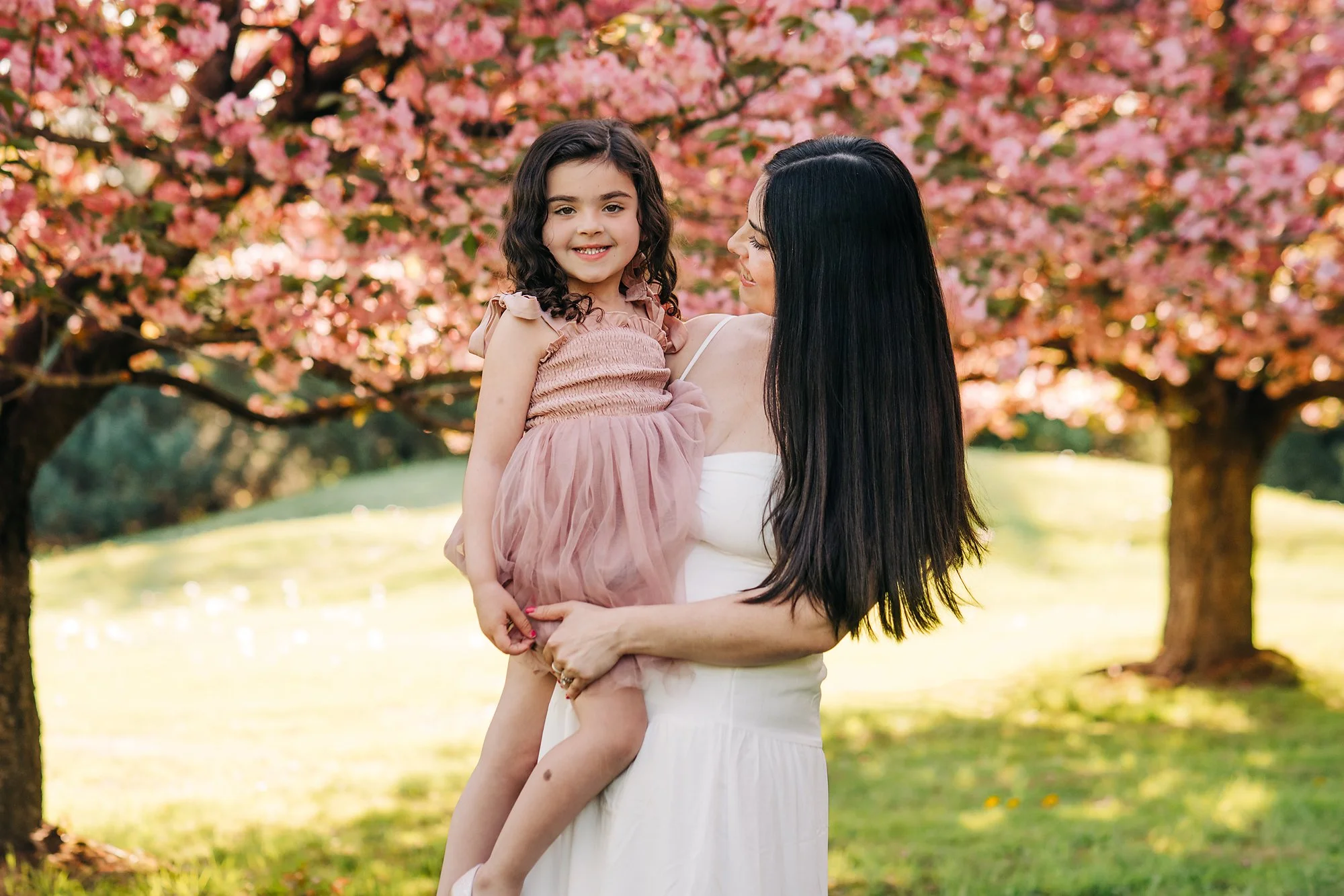 cherryblossoms0084 copy.jpg