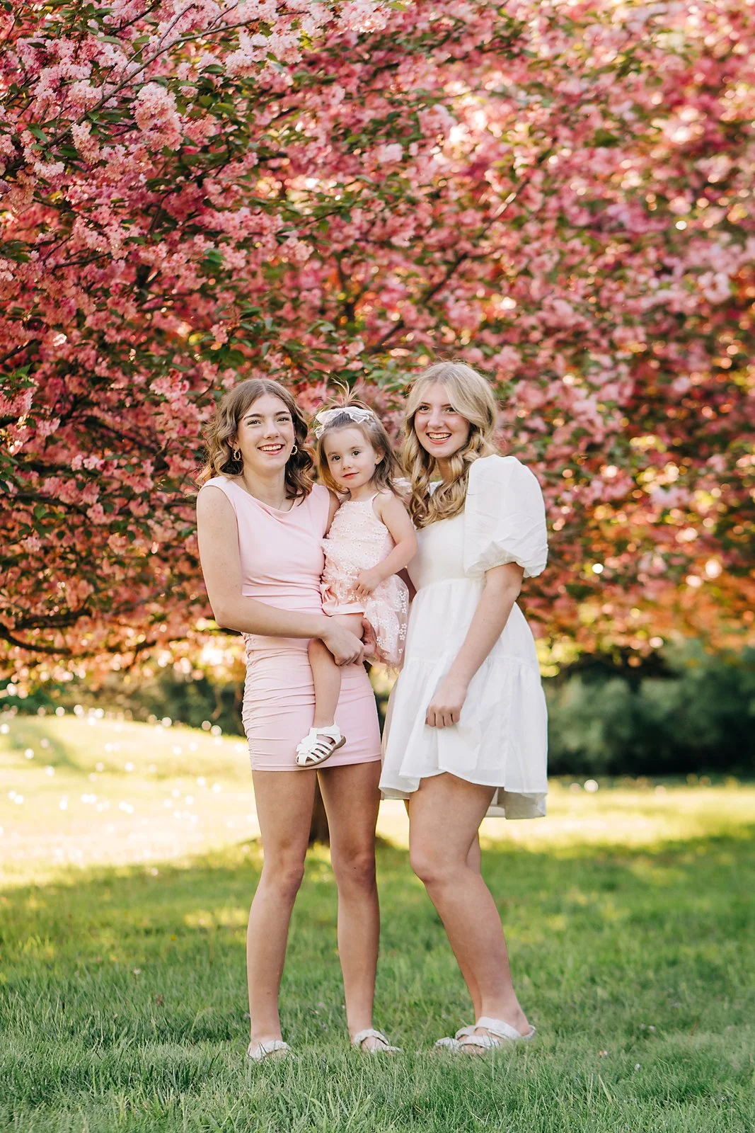 cherry blossoms0029 copy 2.jpg