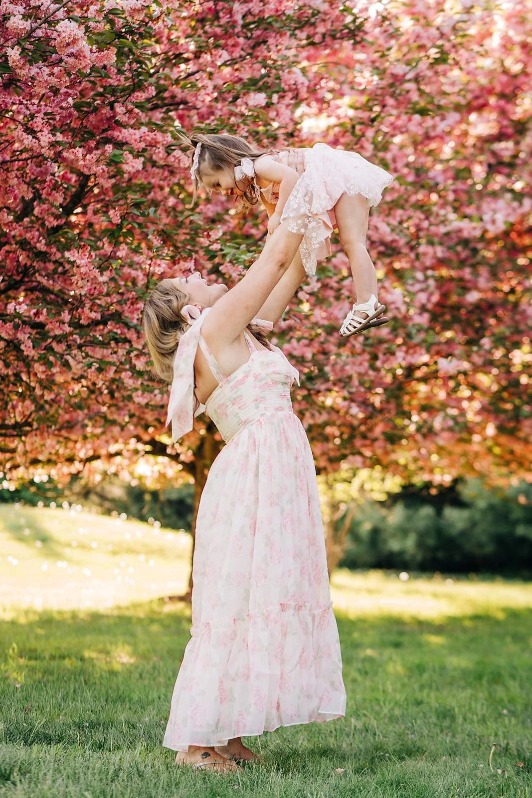 cherry blossoms0100 copy.jpg