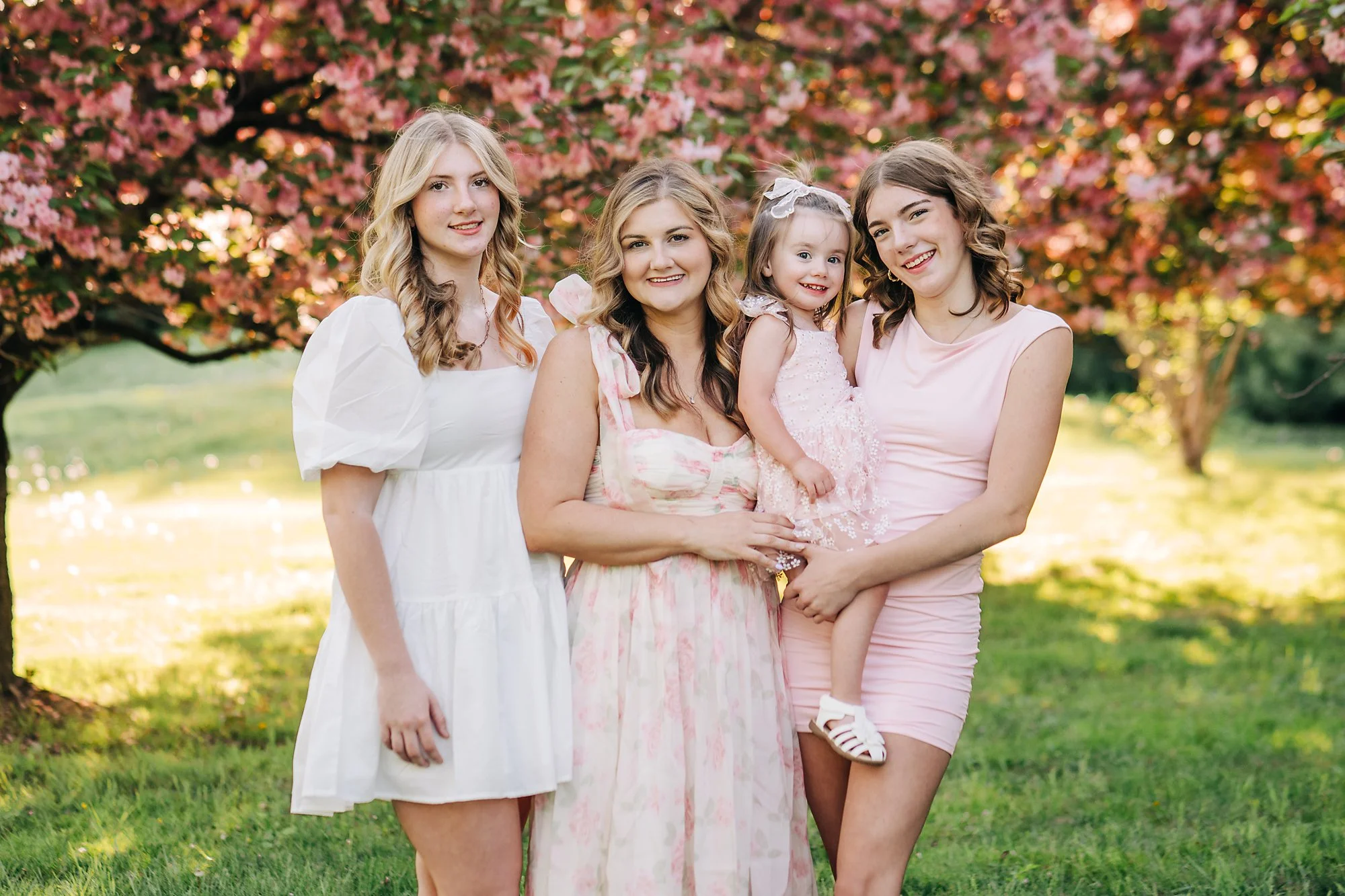 cherry blossoms0317 copy.jpg