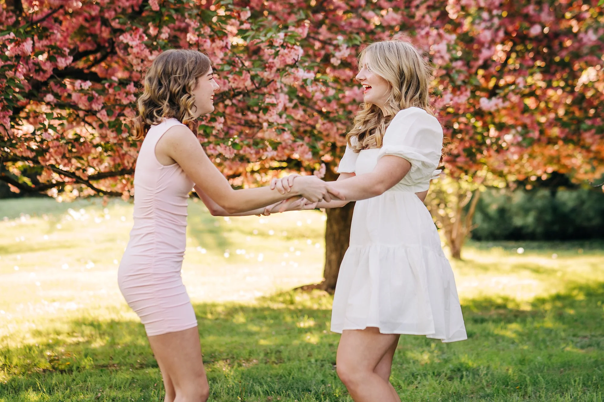 cherry blossoms0197 copy.jpg