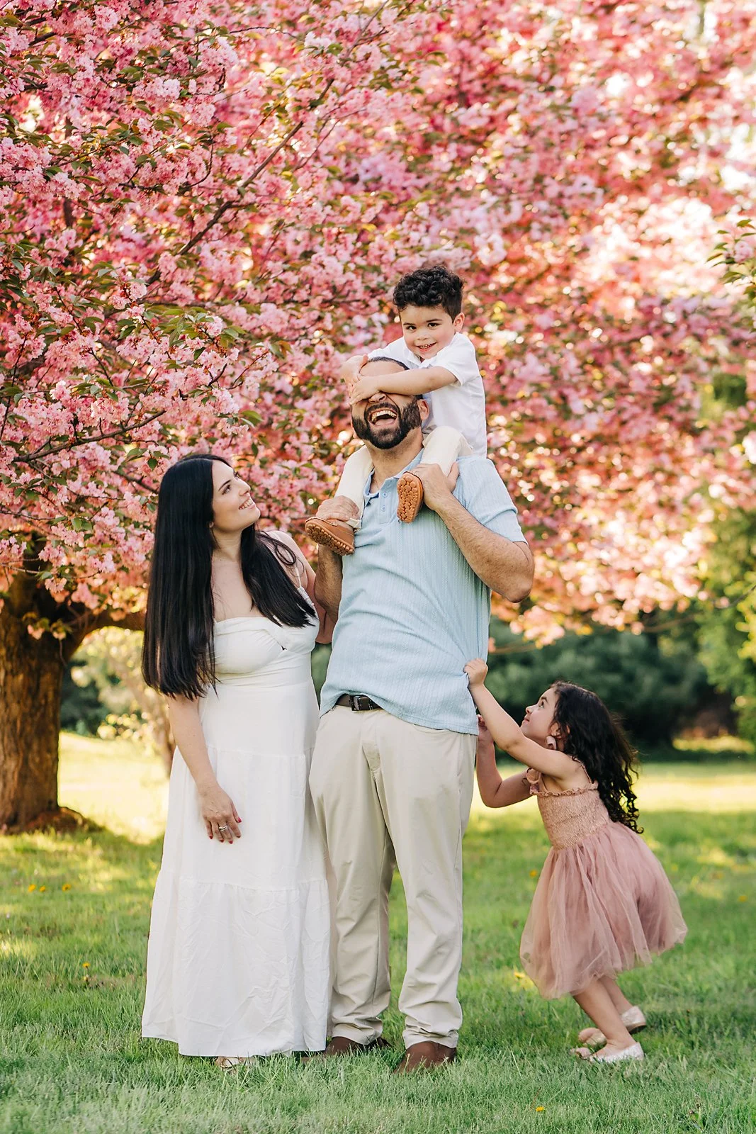 cherryblossoms0021 copy.jpg