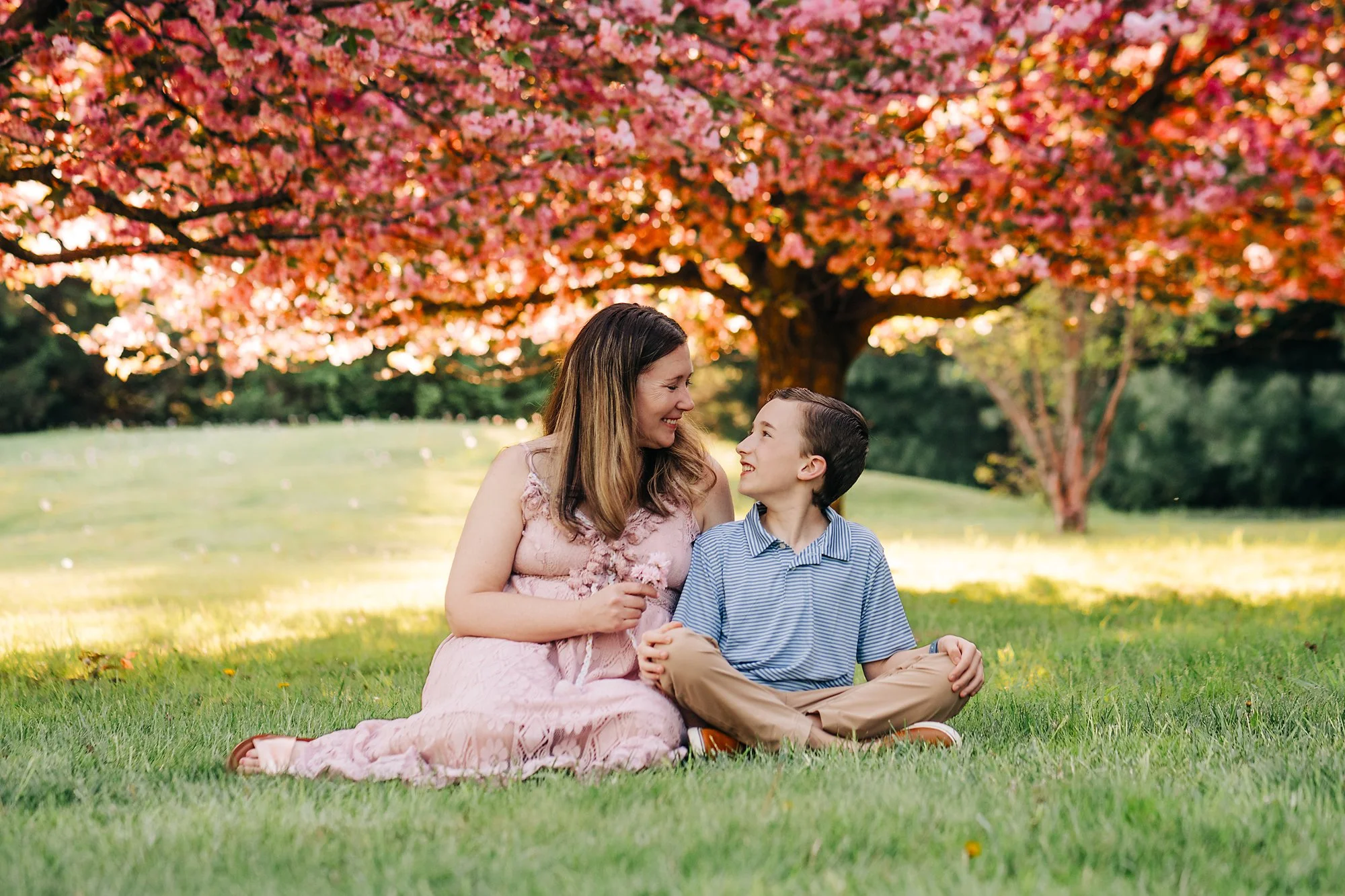 cherryblossoms0384 copy.jpg