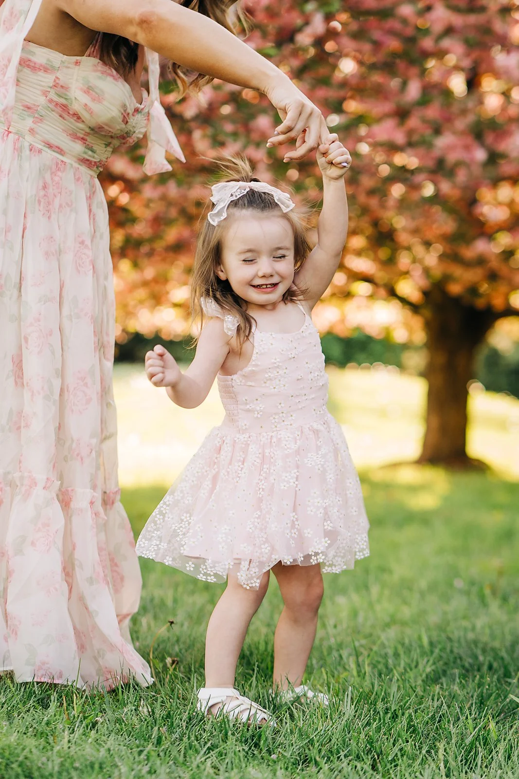 cherry blossoms0167 copy.jpg