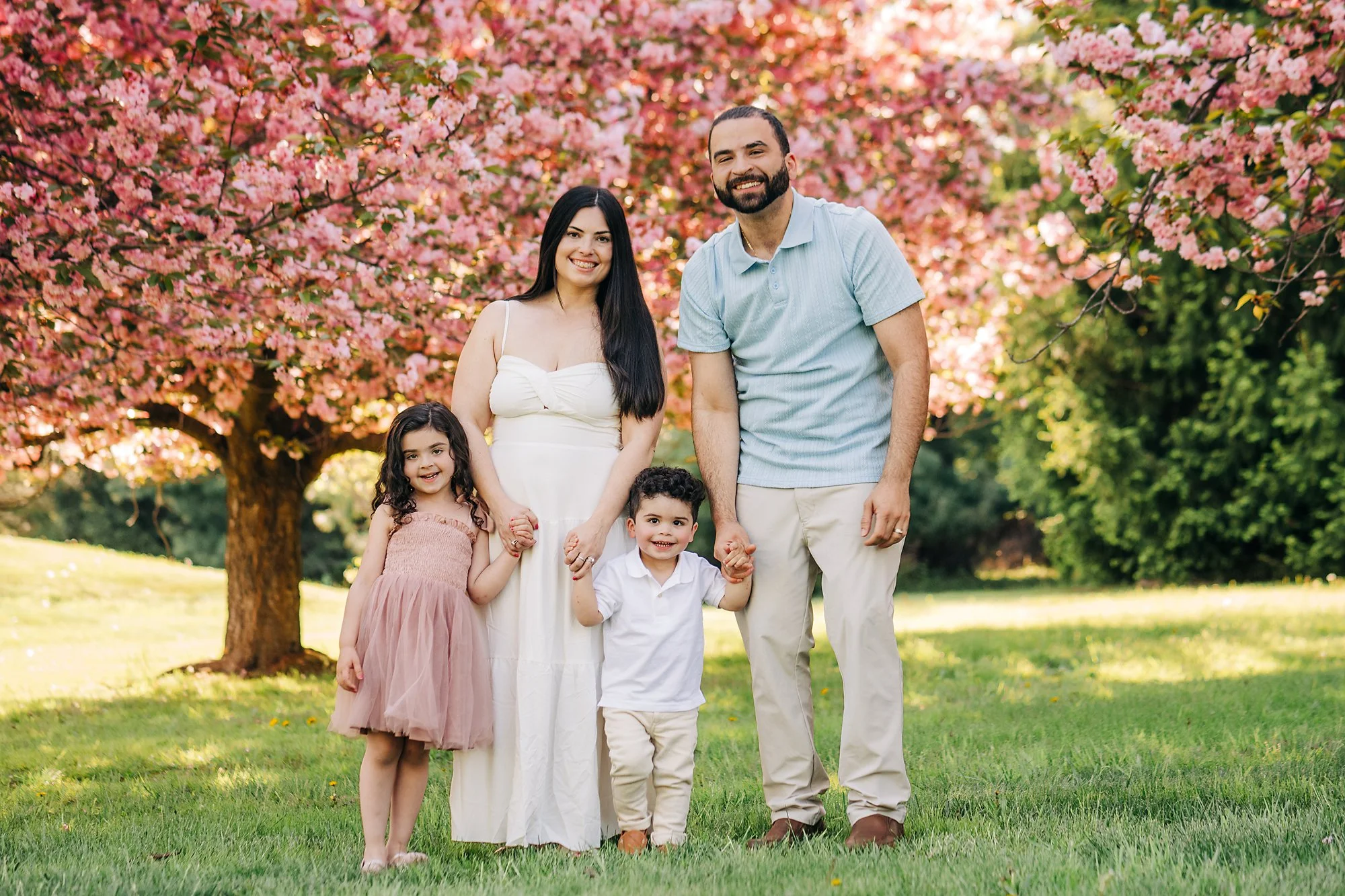 cherryblossoms0027 copy.jpg