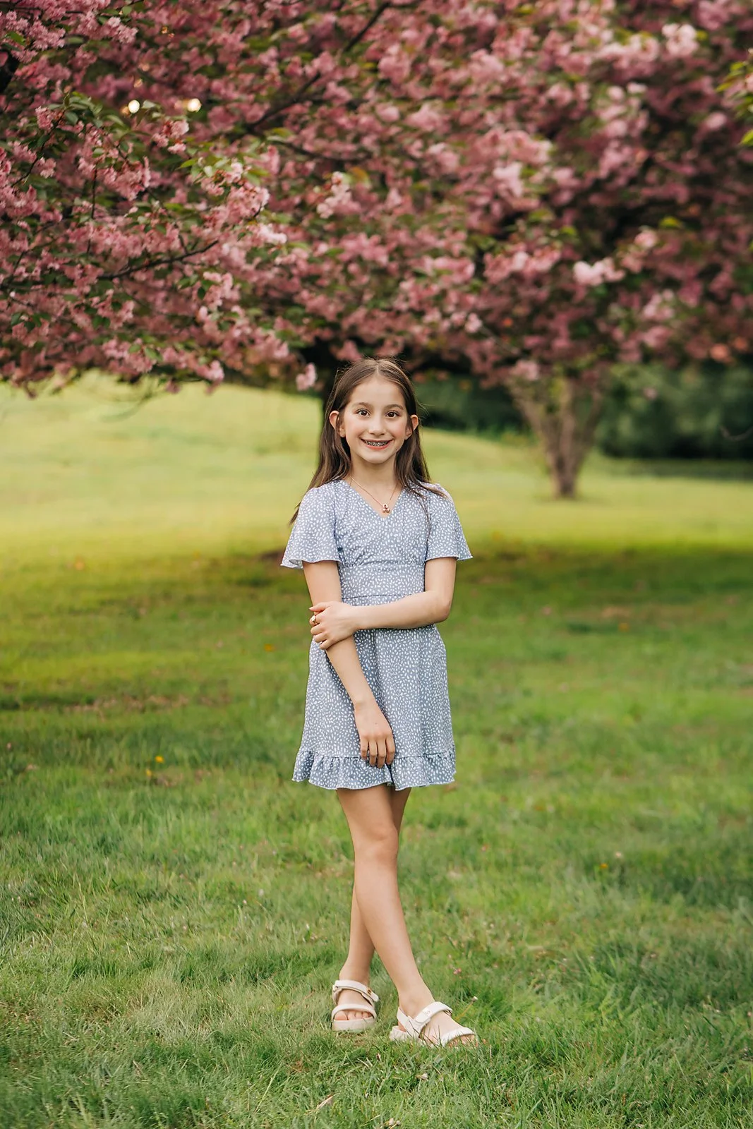 cherry blossoms0172 copy.jpg