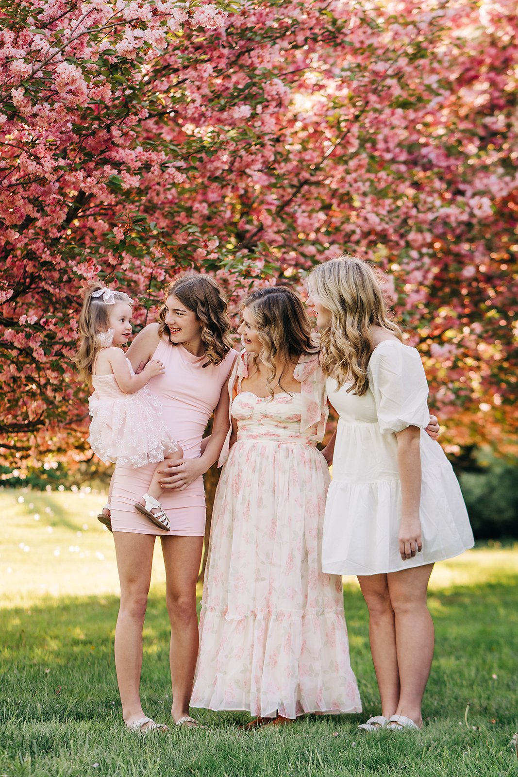 cherry blossoms0009 copy.jpg